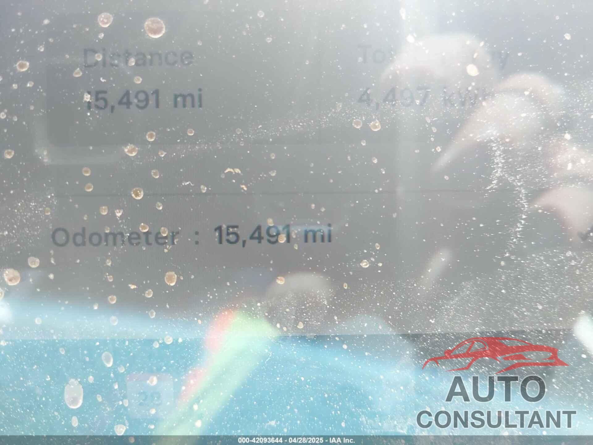 TESLA MODEL Y 2023 - 7SAYGDEF2PF858782