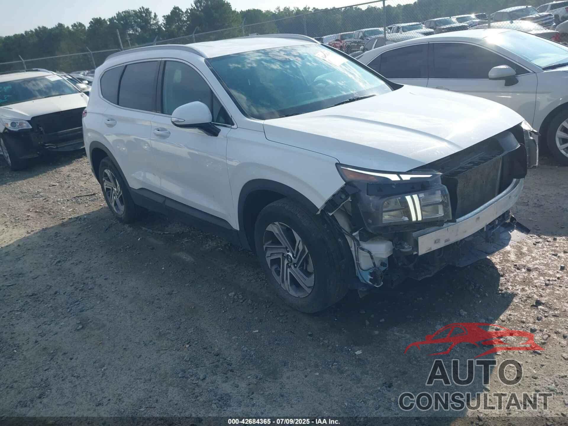 HYUNDAI SANTA FE 2023 - 5NMS24AJ1PH614955