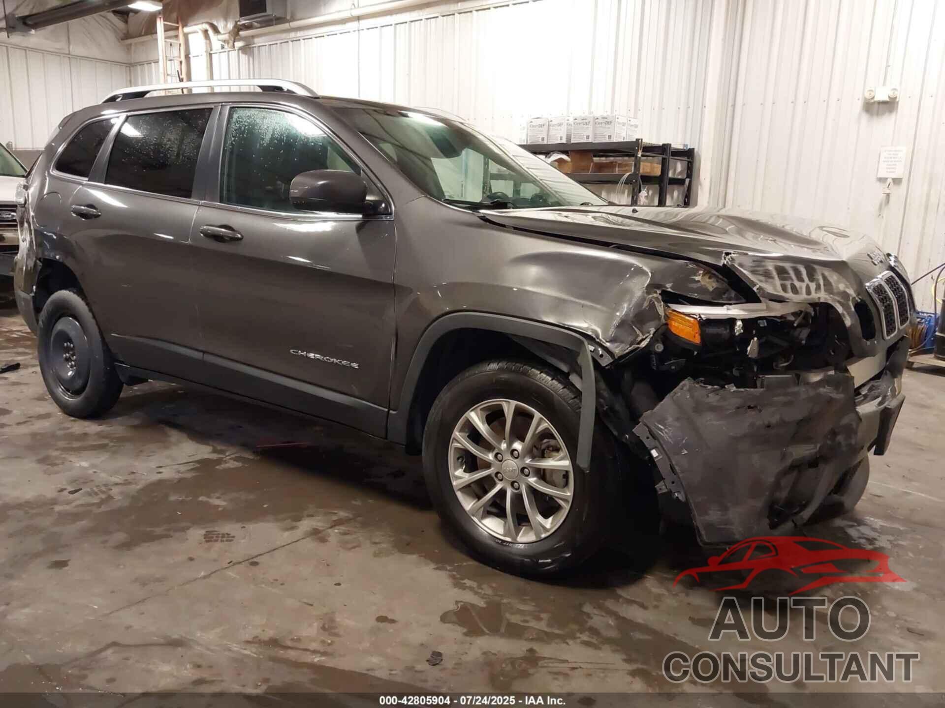 JEEP CHEROKEE 2019 - 1C4PJMLN6KD309896