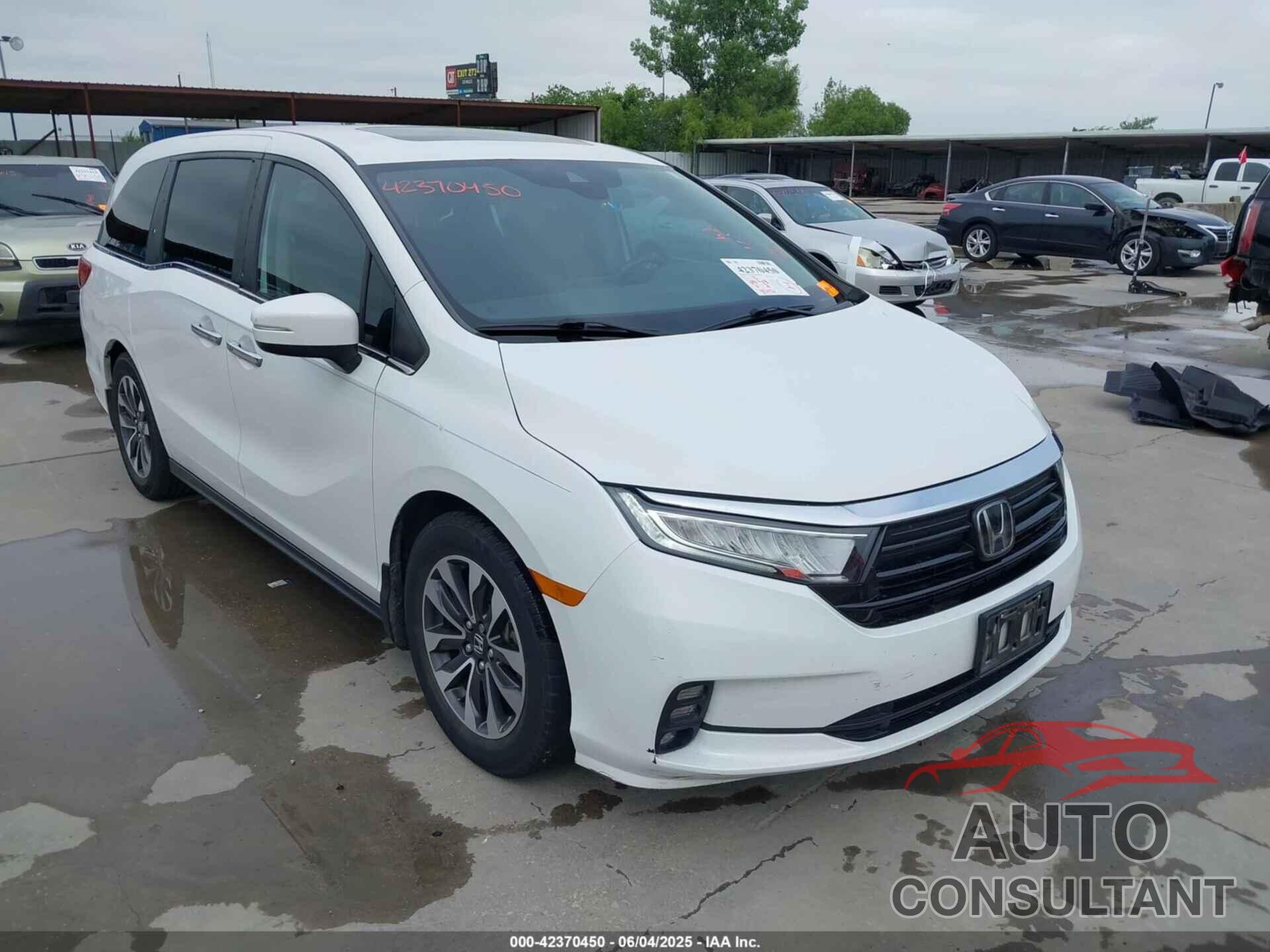 HONDA ODYSSEY 2021 - 5FNRL6H7XMB010643