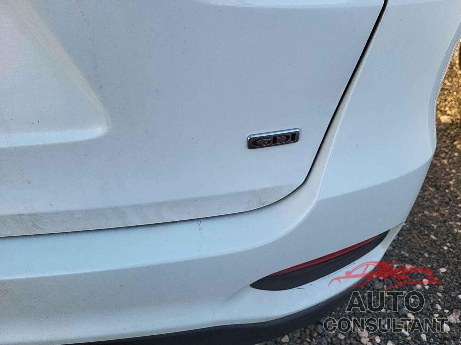 KIA SORENTO 2019 - 5XYPG4A3XKG512288