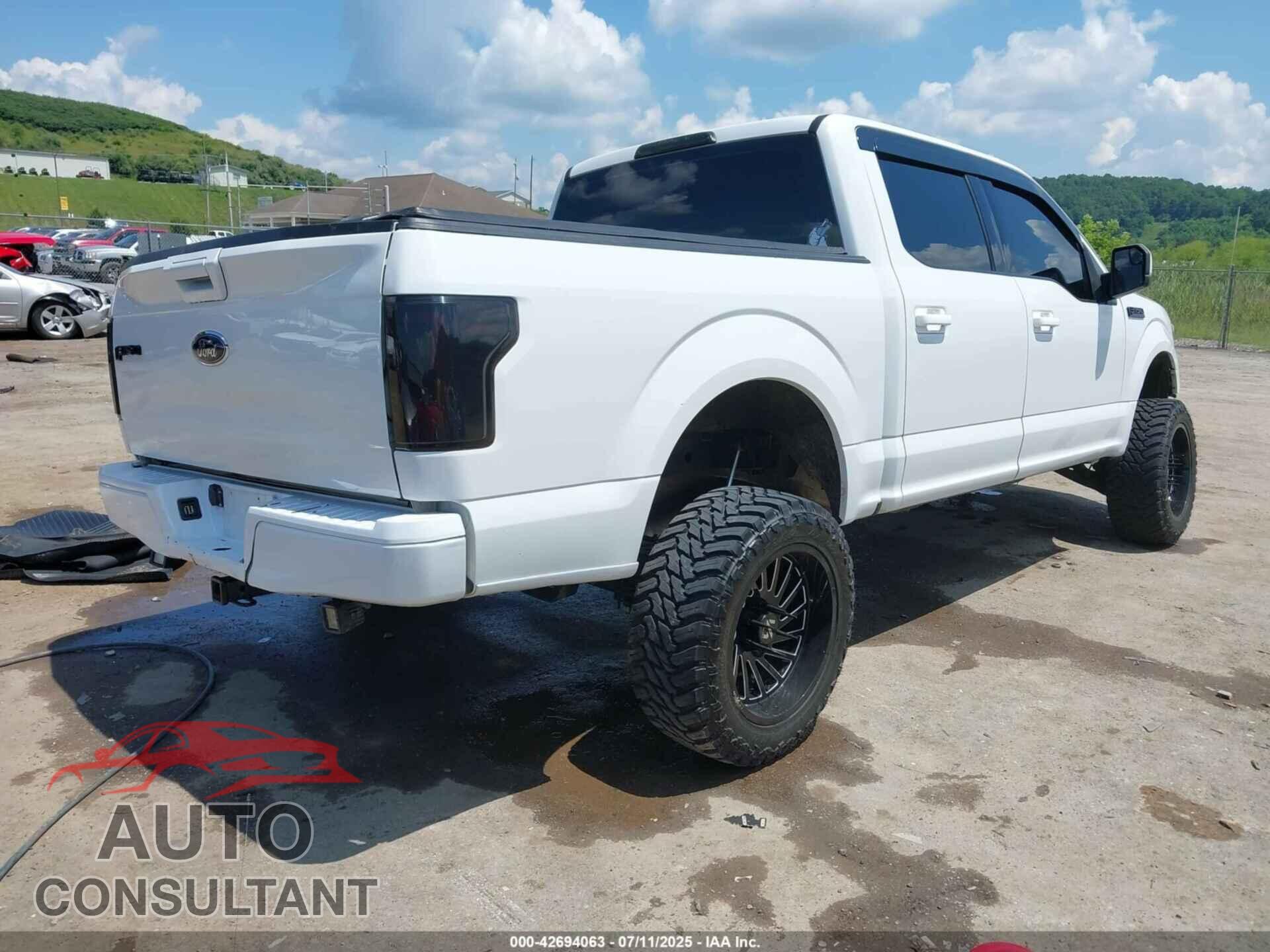 FORD F-150 2017 - 1FTEW1EF7HFC05055