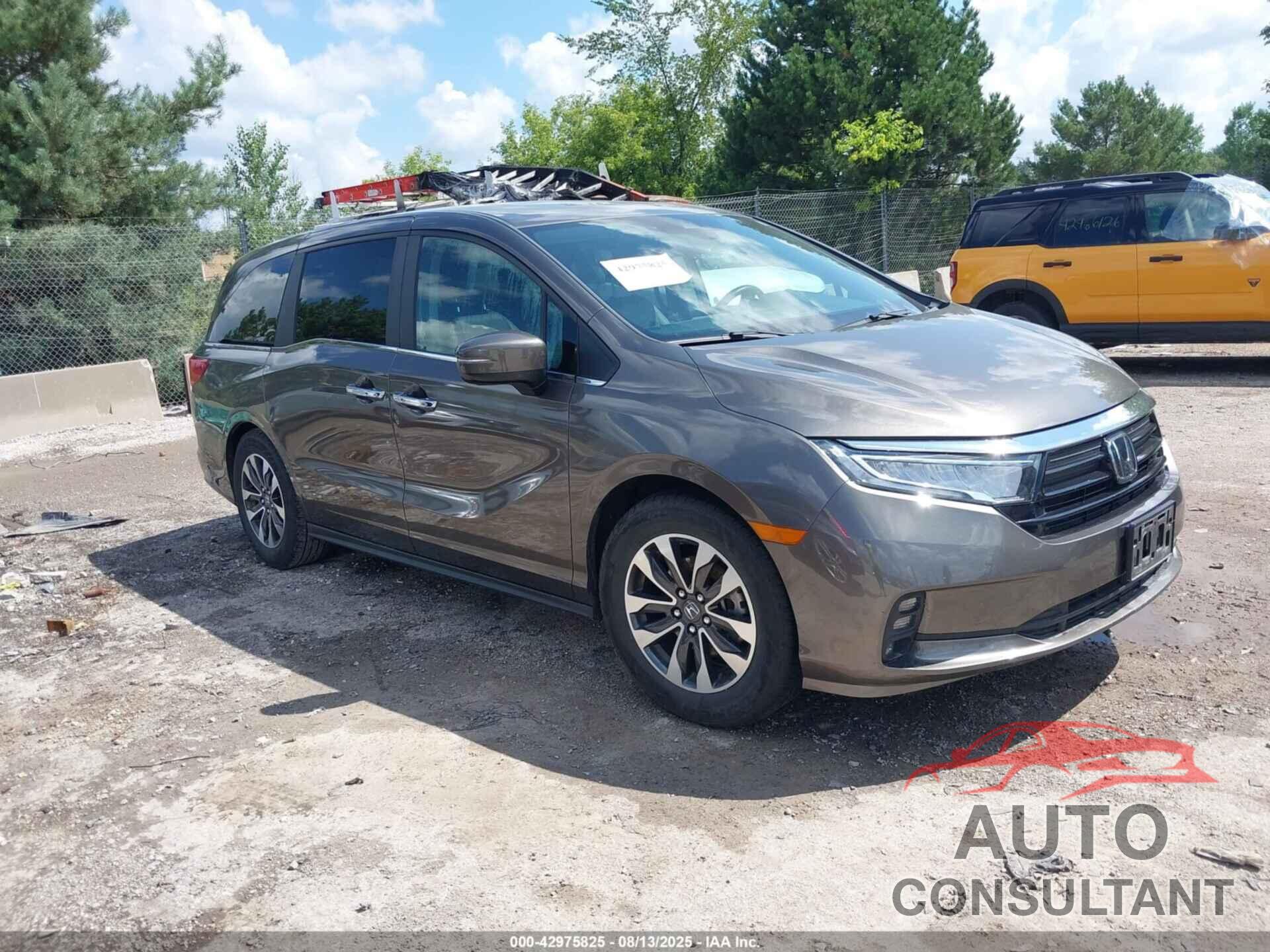 HONDA ODYSSEY 2021 - 5FNRL6H75MB021064