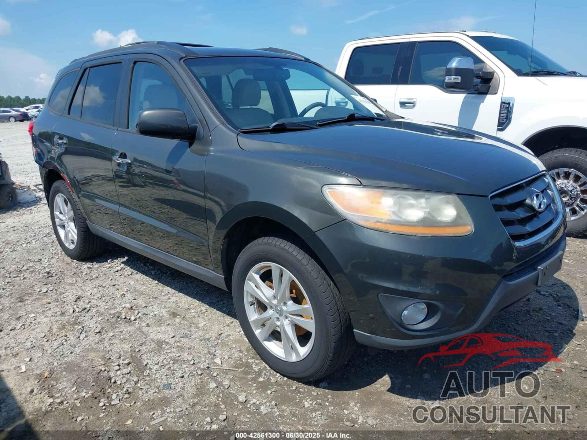 HYUNDAI SANTA FE 2010 - 5NMSKDAG5AH339277