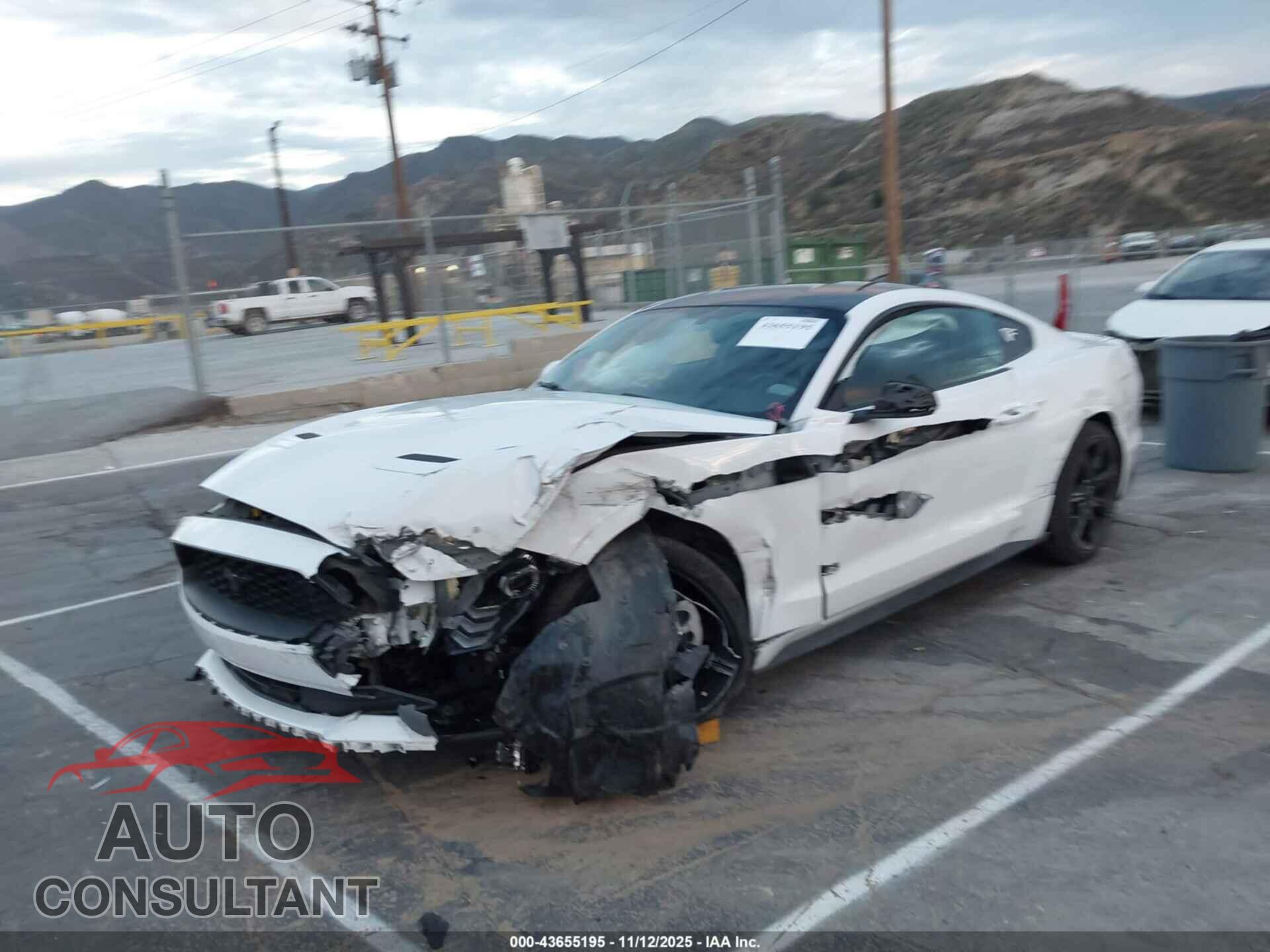 FORD MUSTANG 2019 - 1FA6P8TH2K5196699