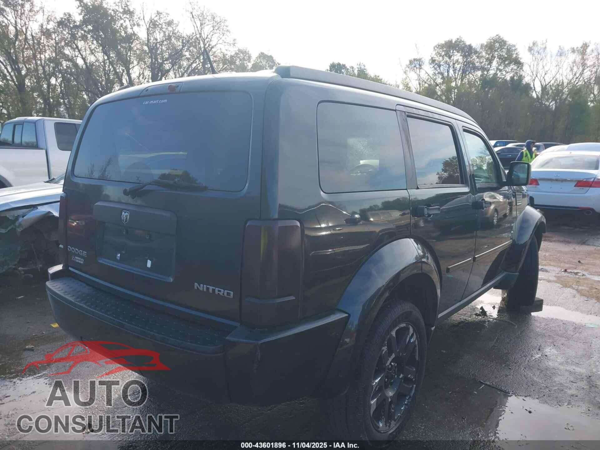 DODGE NITRO 2011 - 1D4PT4GK1BW546295