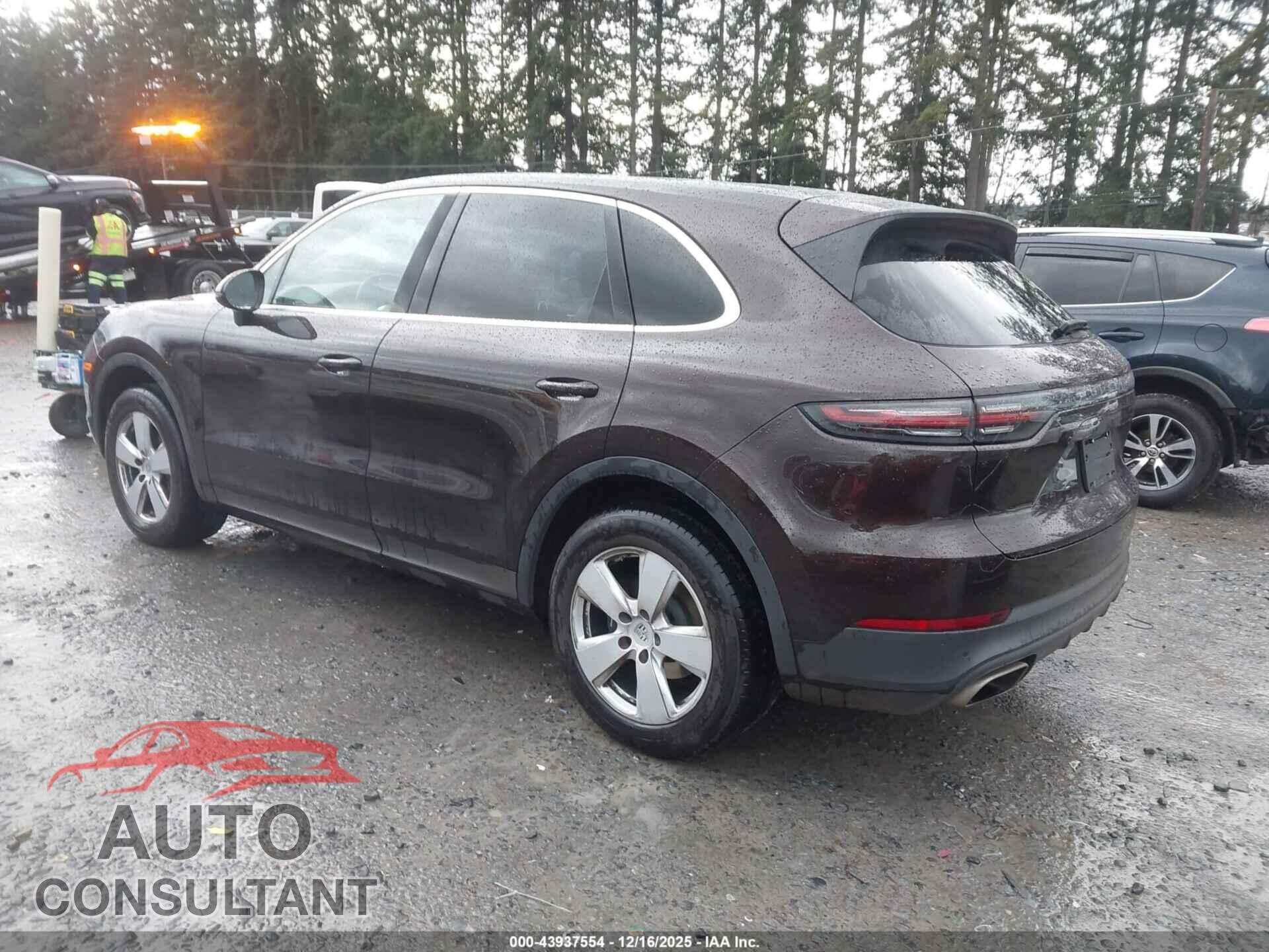 PORSCHE CAYENNE 2019 - WP1AA2AY9KDA01840