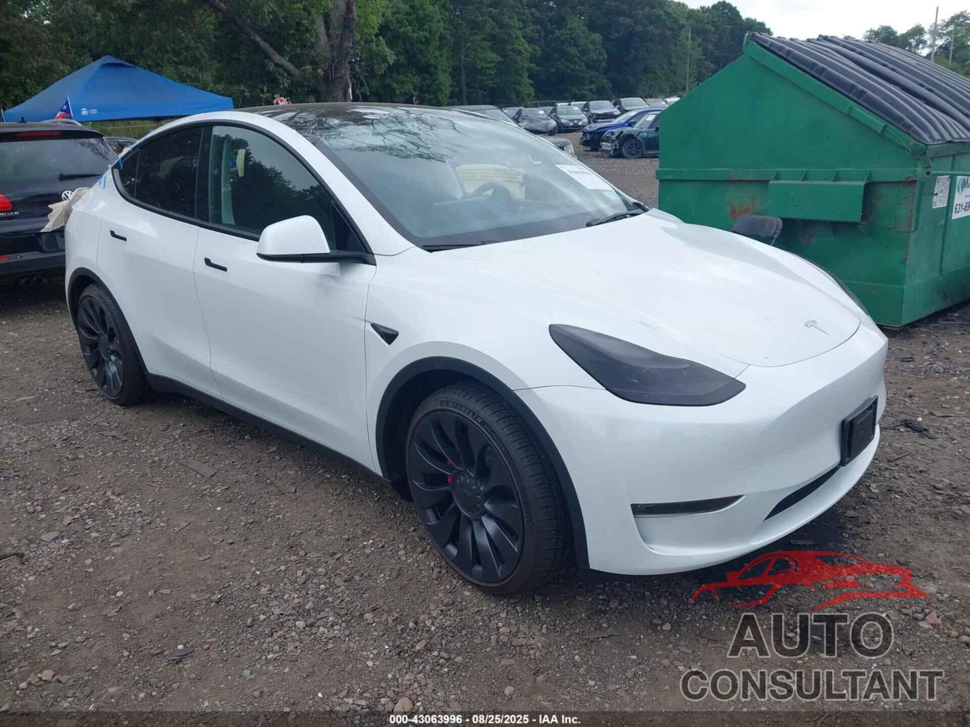 TESLA MODEL Y 2023 - 7SAYGDEF3PF697374