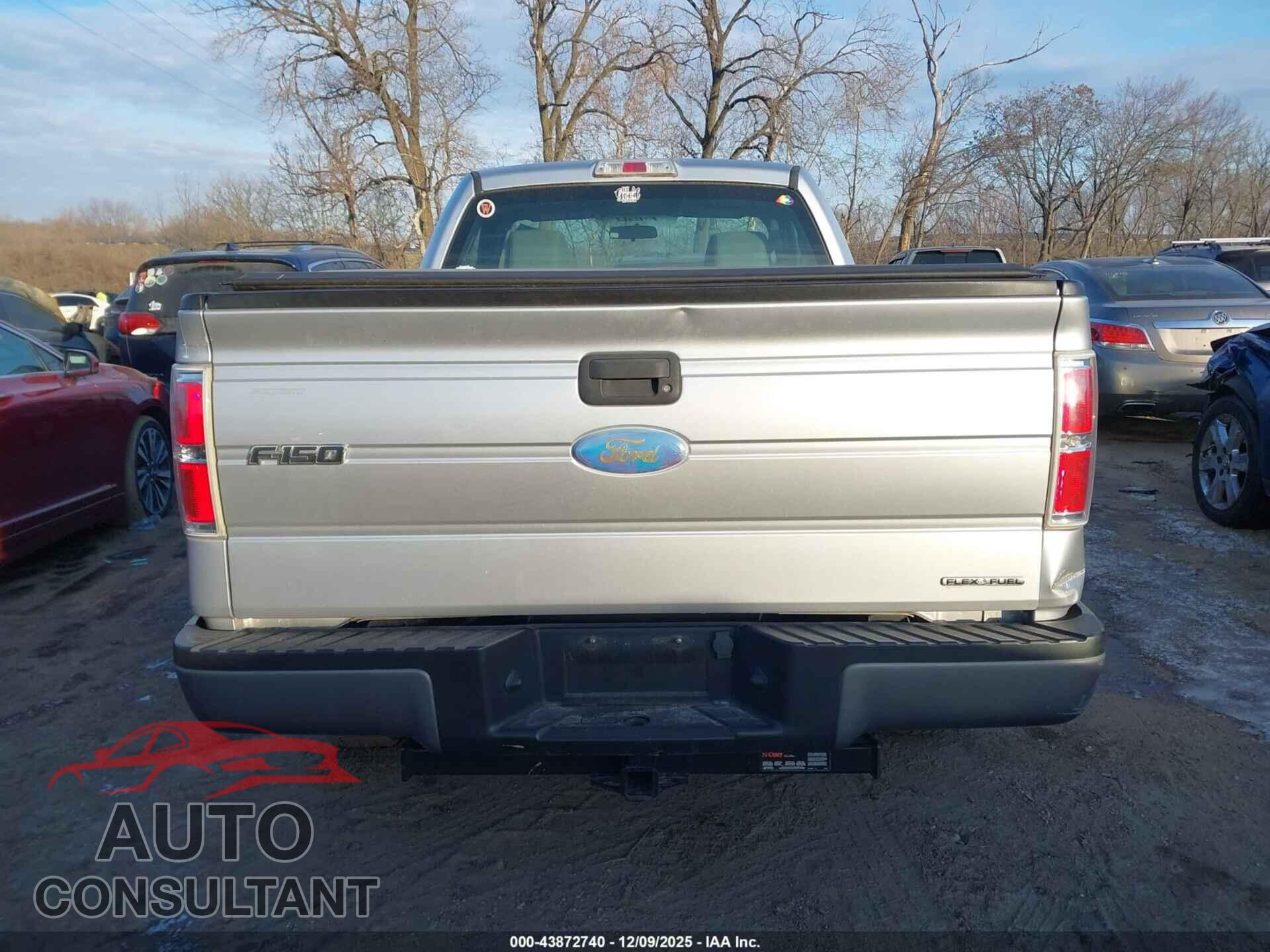 FORD F-150 2011 - 1FTMF1CM9BFD06697