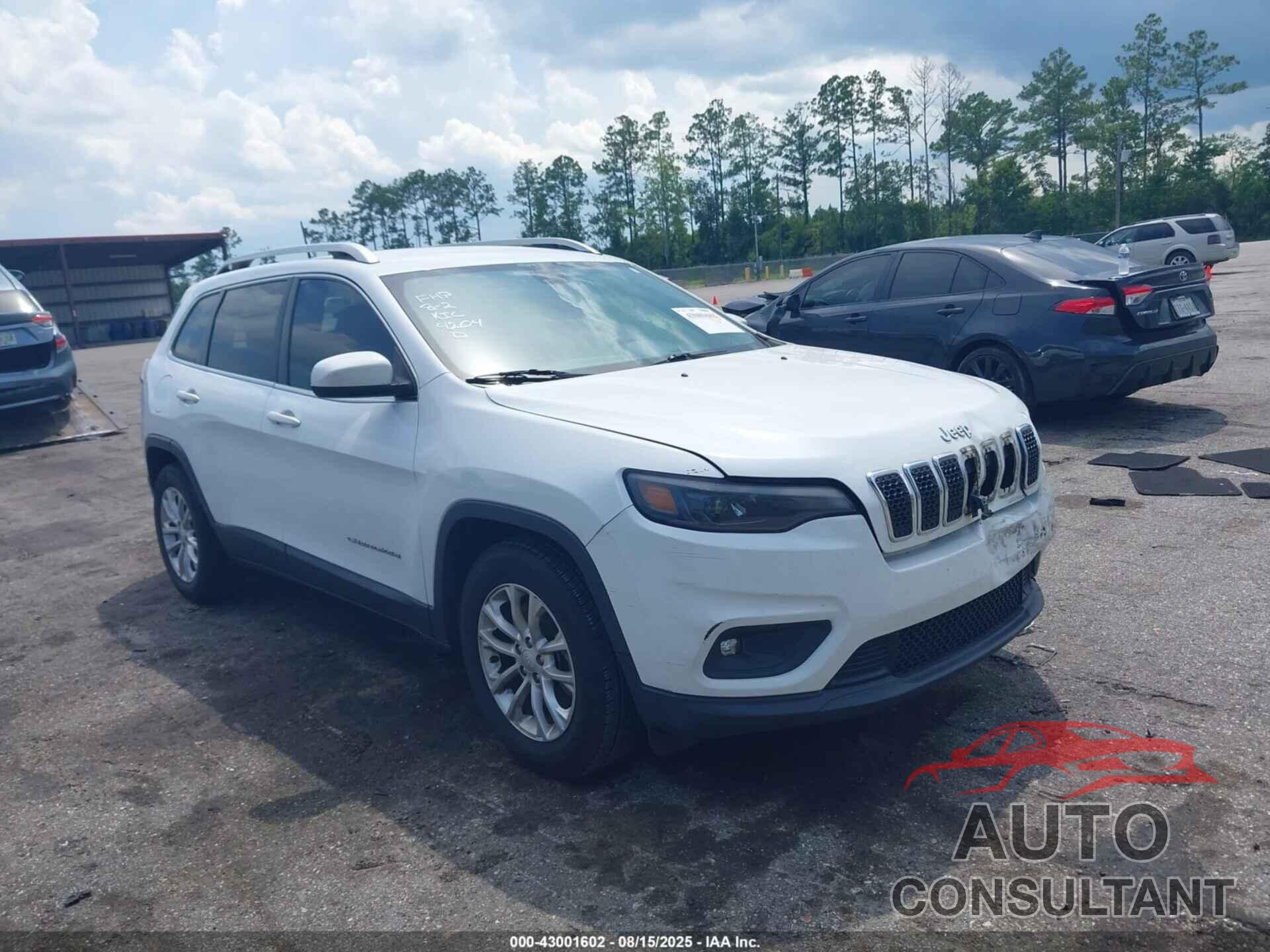 JEEP CHEROKEE 2019 - 1C4PJLCBXKD264204