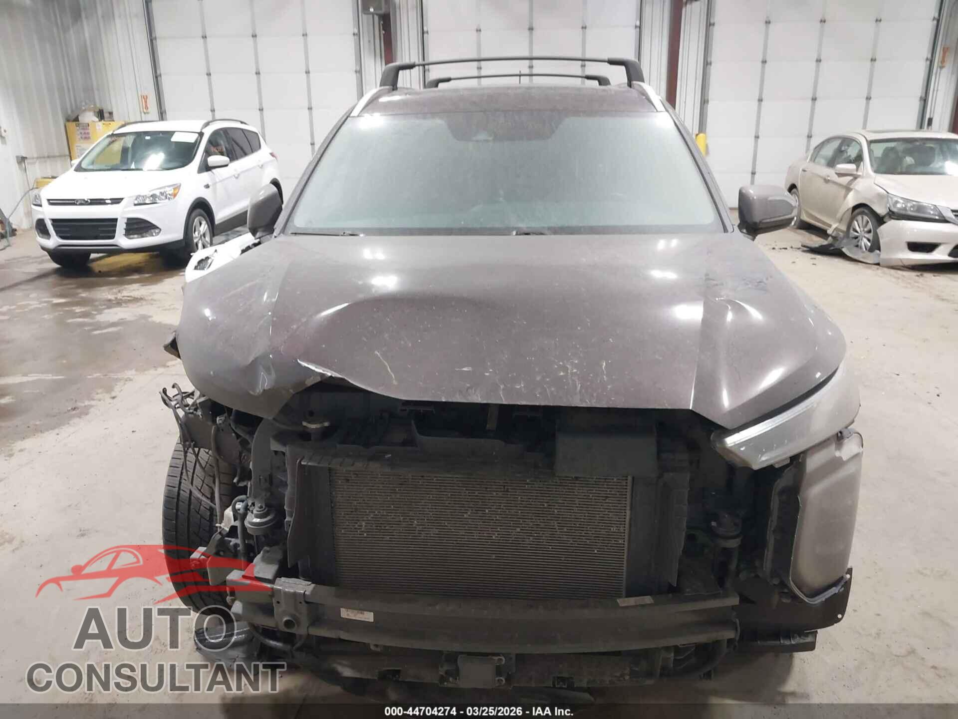 HYUNDAI PALISADE 2020 - KM8R2DHE2LU154002