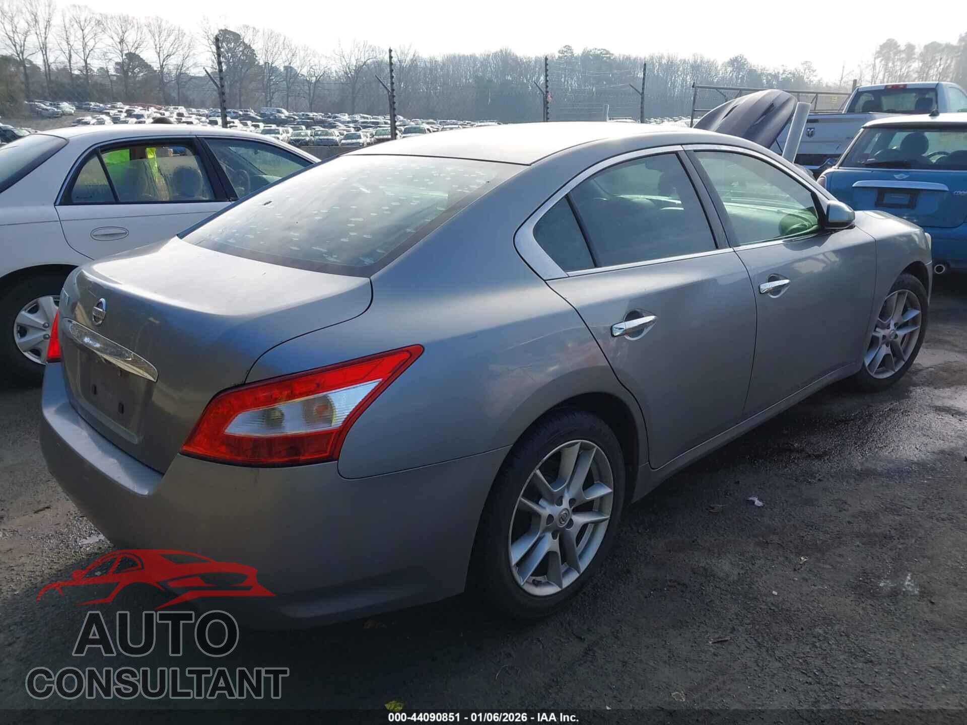 NISSAN MAXIMA 2009 - 1N4AA51E19C843473