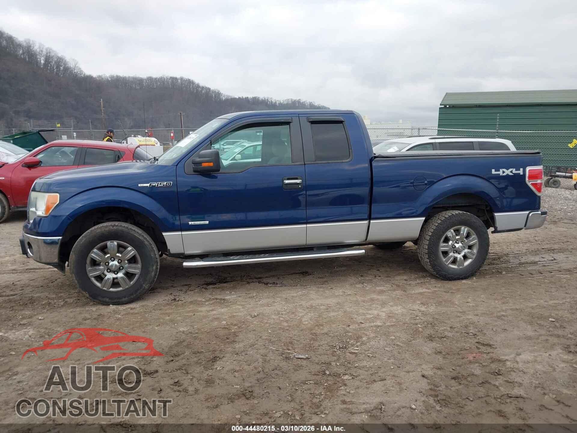 FORD F-150 2011 - 1FTFX1ET5BFB53522