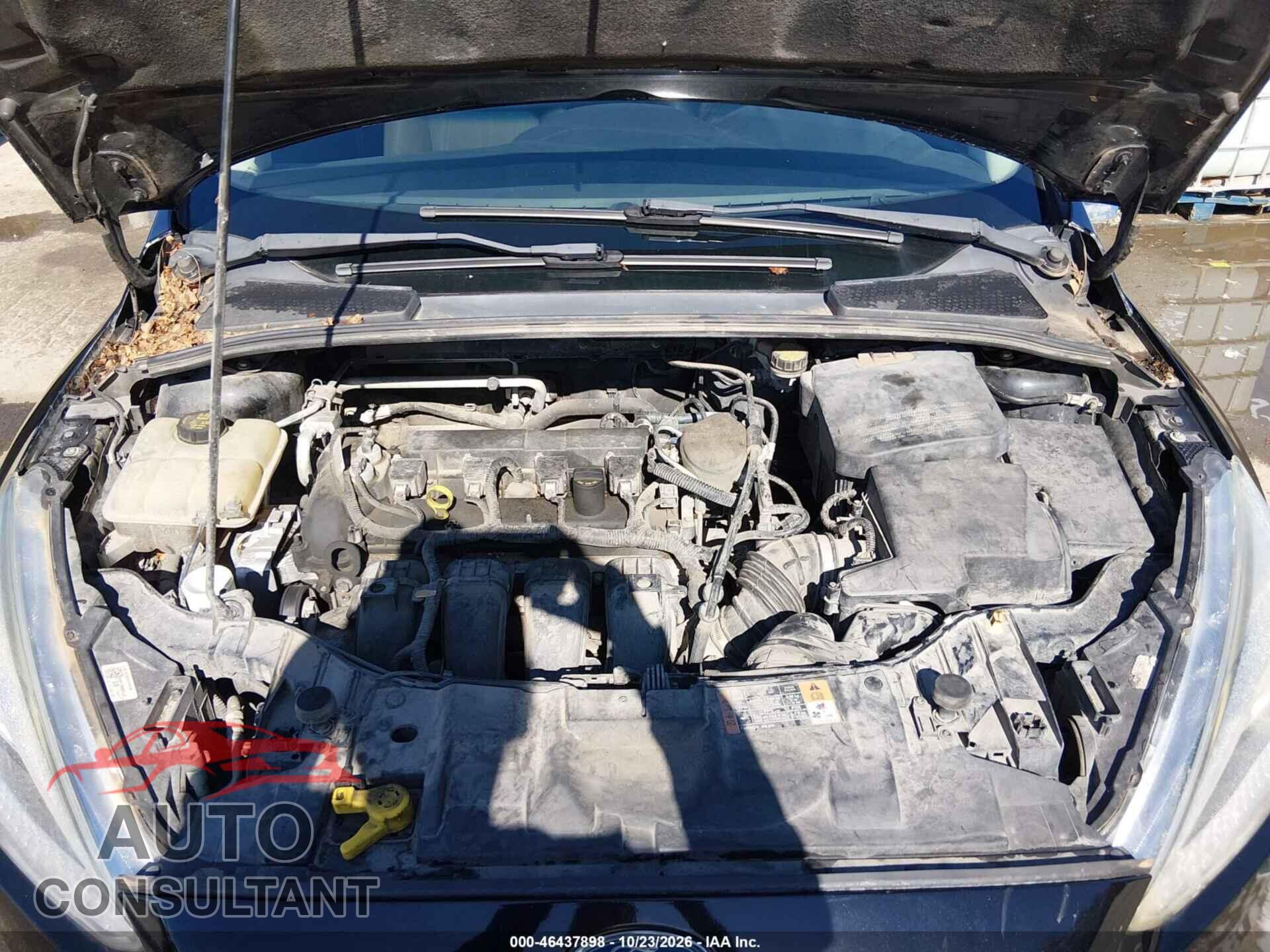 FORD FOCUS 2016 - 1FADP3E25GL212500