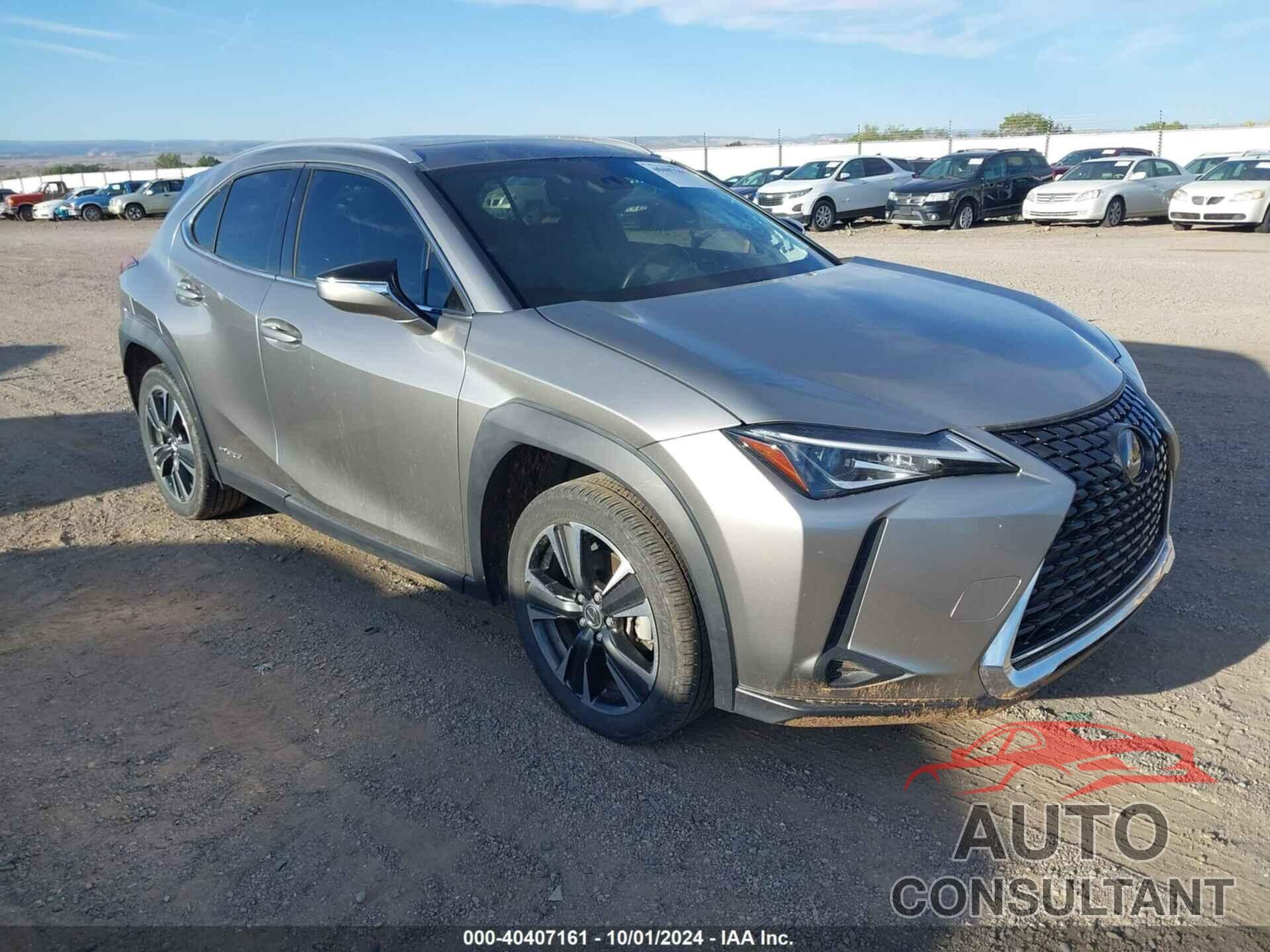 LEXUS UX 2019 - JTHU9JBH6K2011235