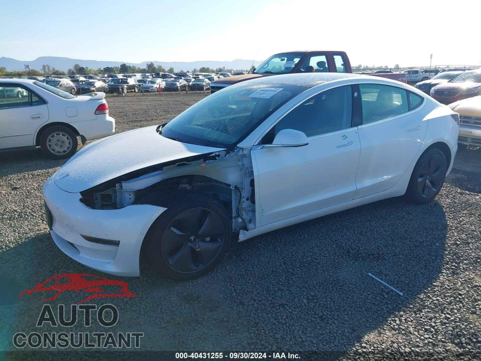 TESLA MODEL 3 2020 - 5YJ3E1EB6LF637575