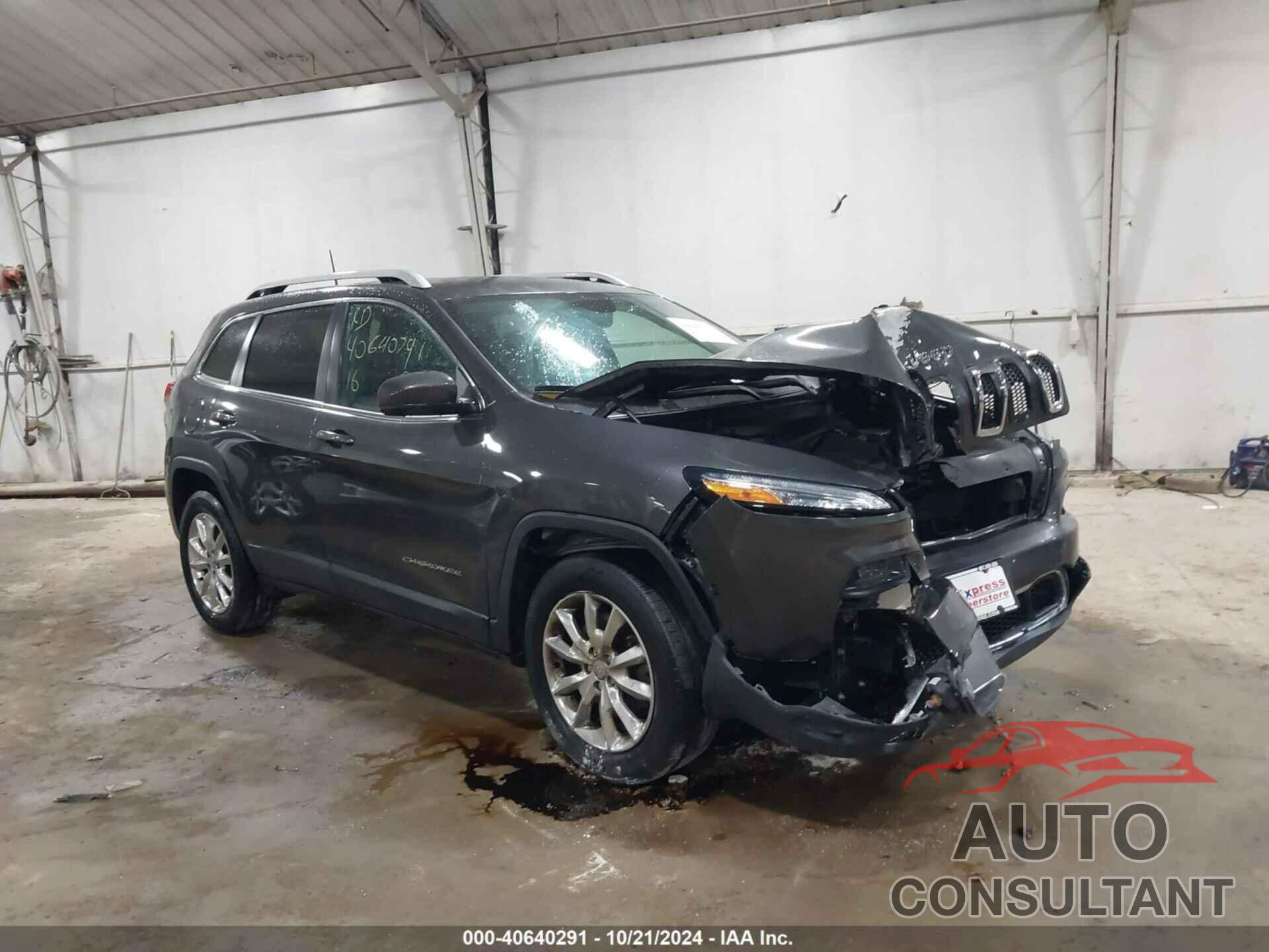 JEEP CHEROKEE 2016 - 1C4PJMDB9GW119669