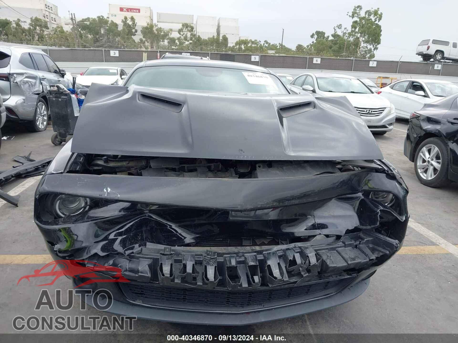 DODGE CHALLENGER 2019 - 2C3CDZAG0KH687632