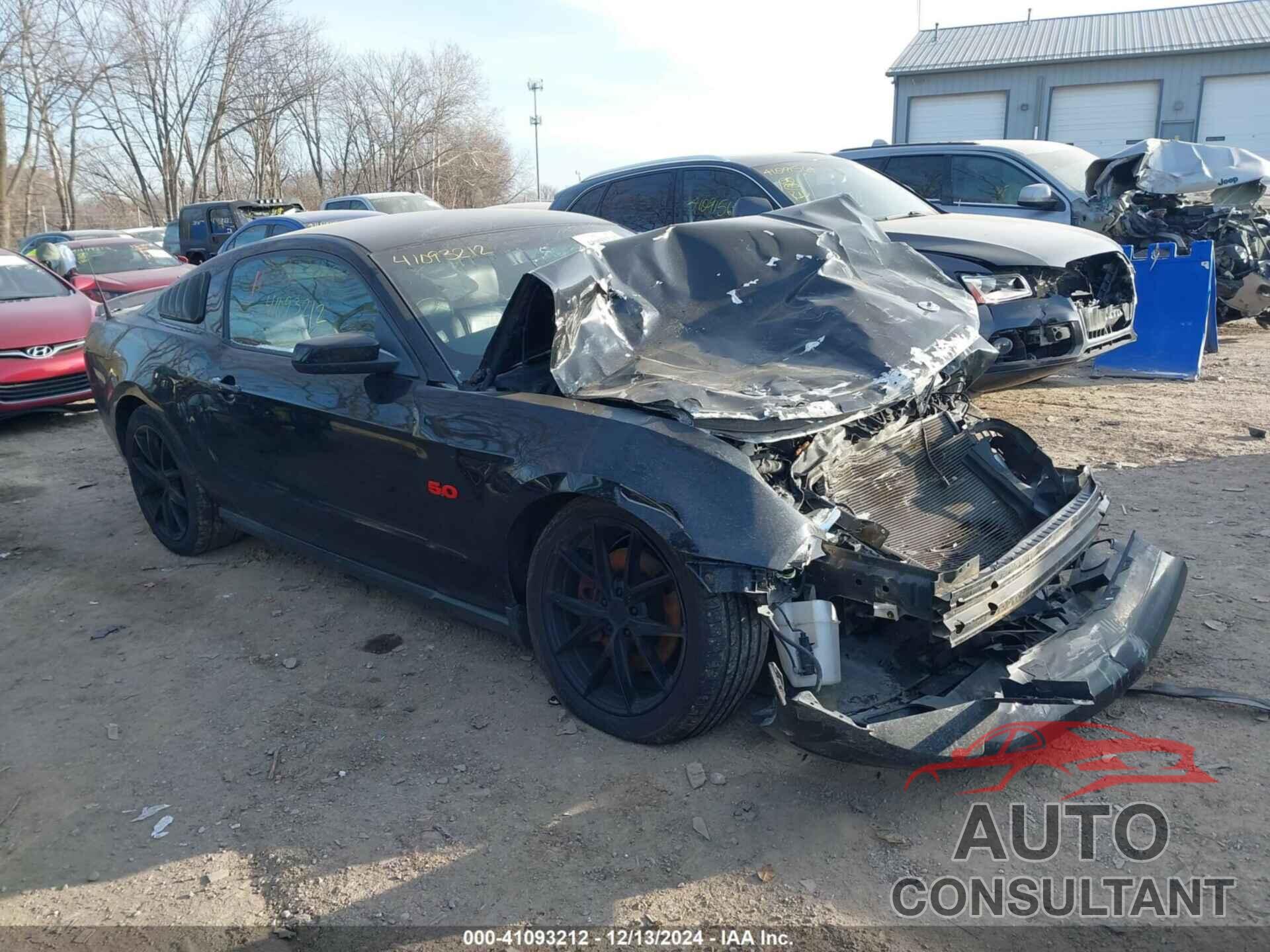 FORD MUSTANG 2011 - 1ZVBP8CF4B5133673