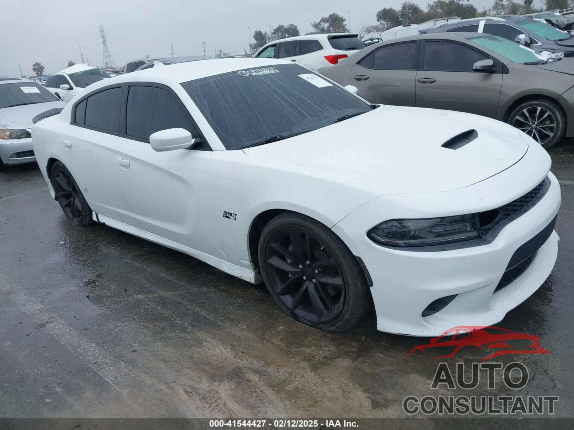 DODGE CHARGER 2019 - 2C3CDXGJ3KH511083
