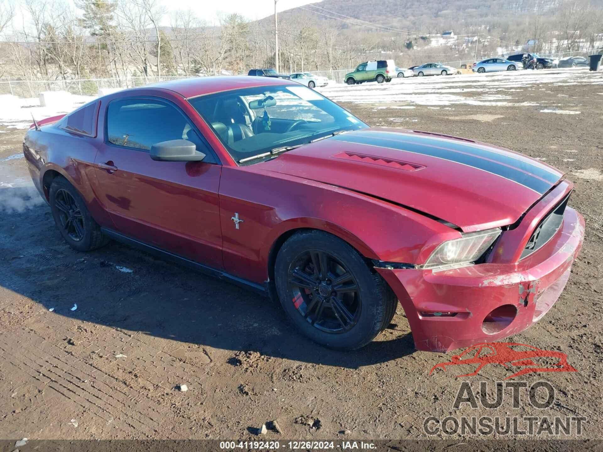 FORD MUSTANG 2010 - 1ZVBP8ANXA5137591