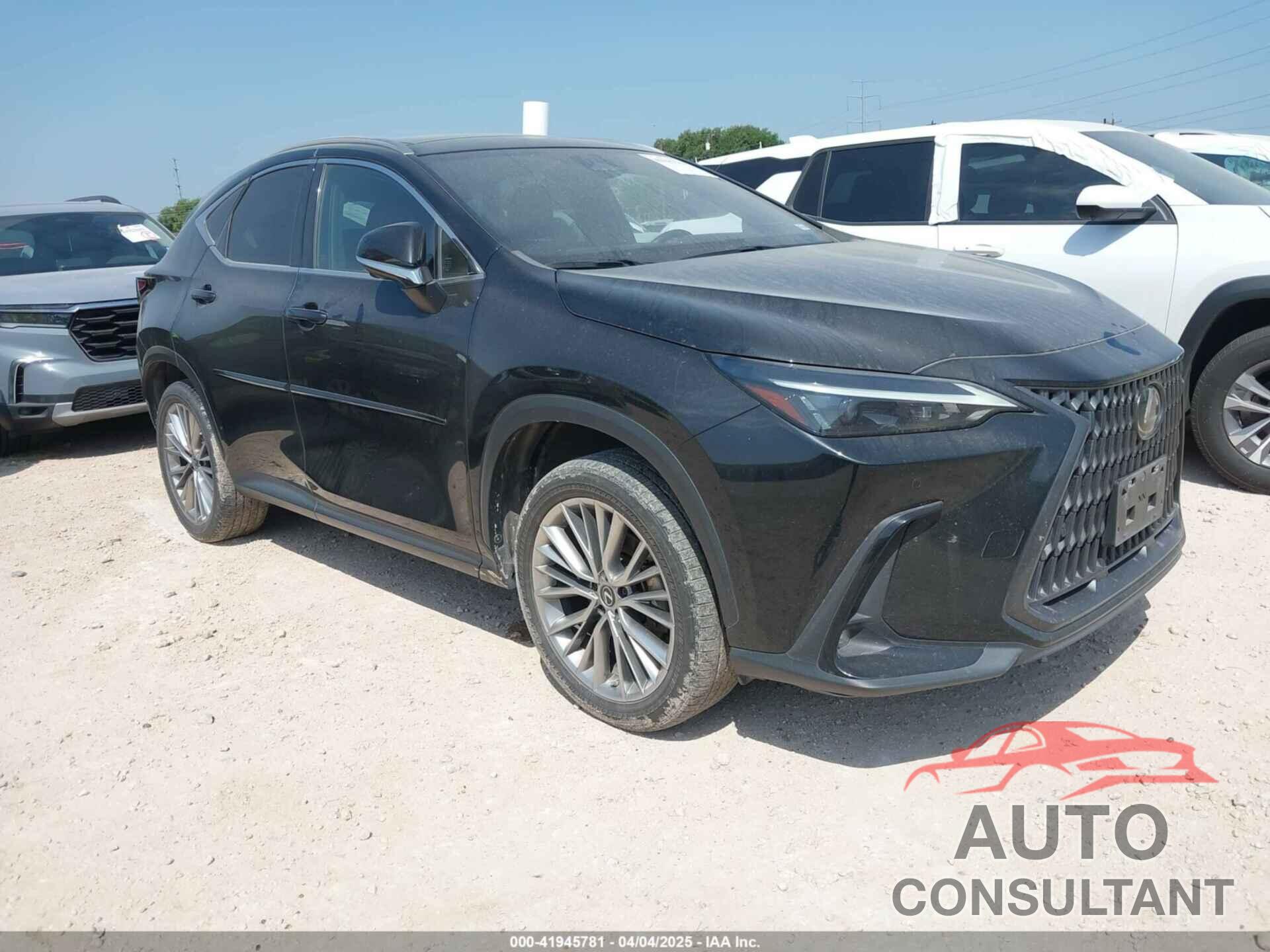 LEXUS NX 350 2022 - JTJHGCEZ3N5000282