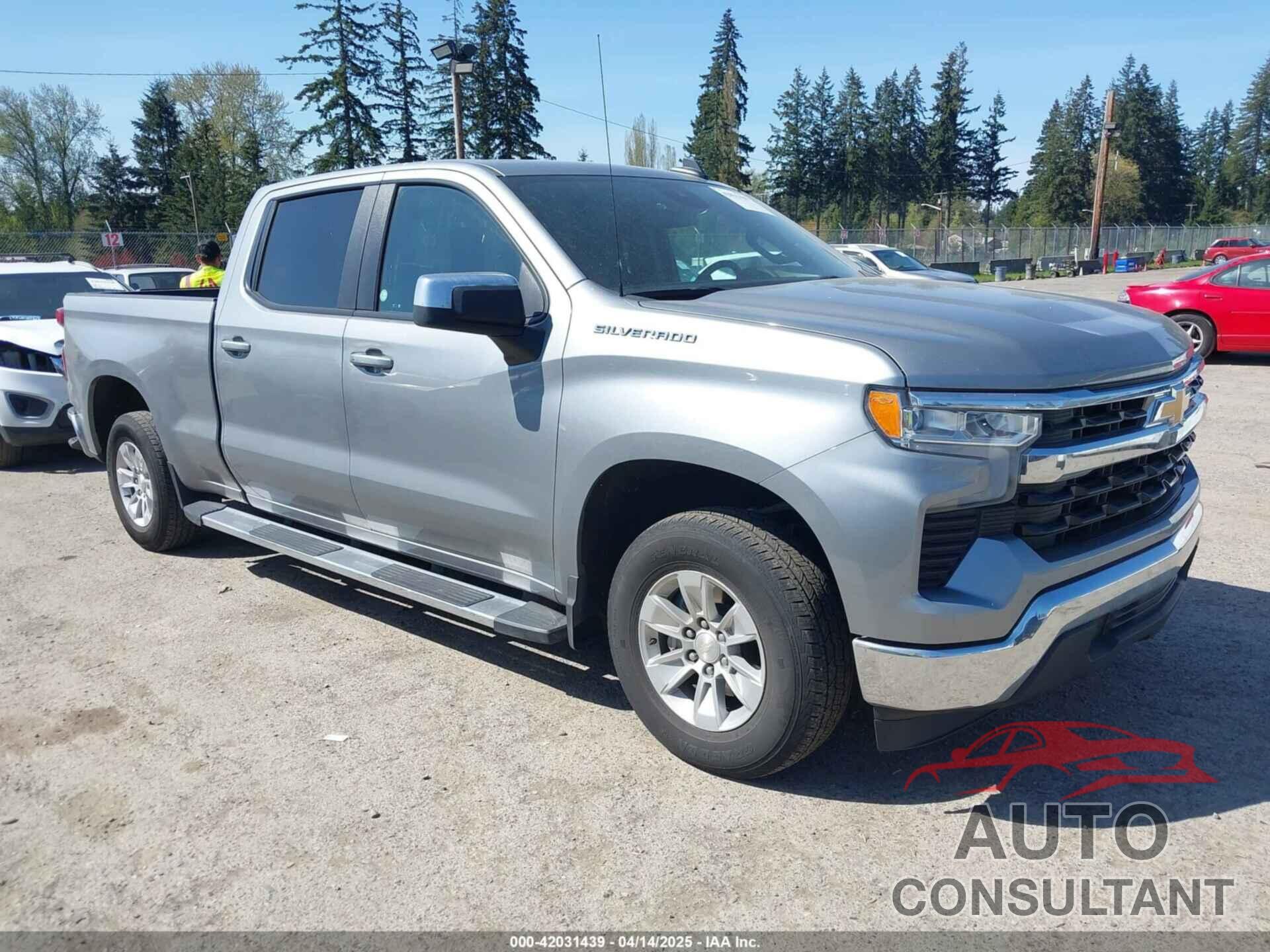 CHEVROLET SILVERADO 1500 2024 - 1GCPACED4RZ200574