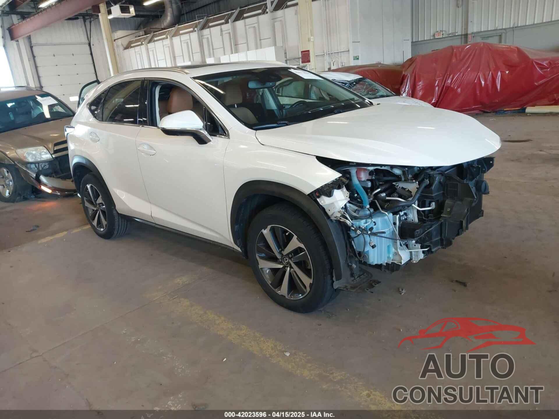 LEXUS NX 300 2019 - JTJBARBZ8K2187692