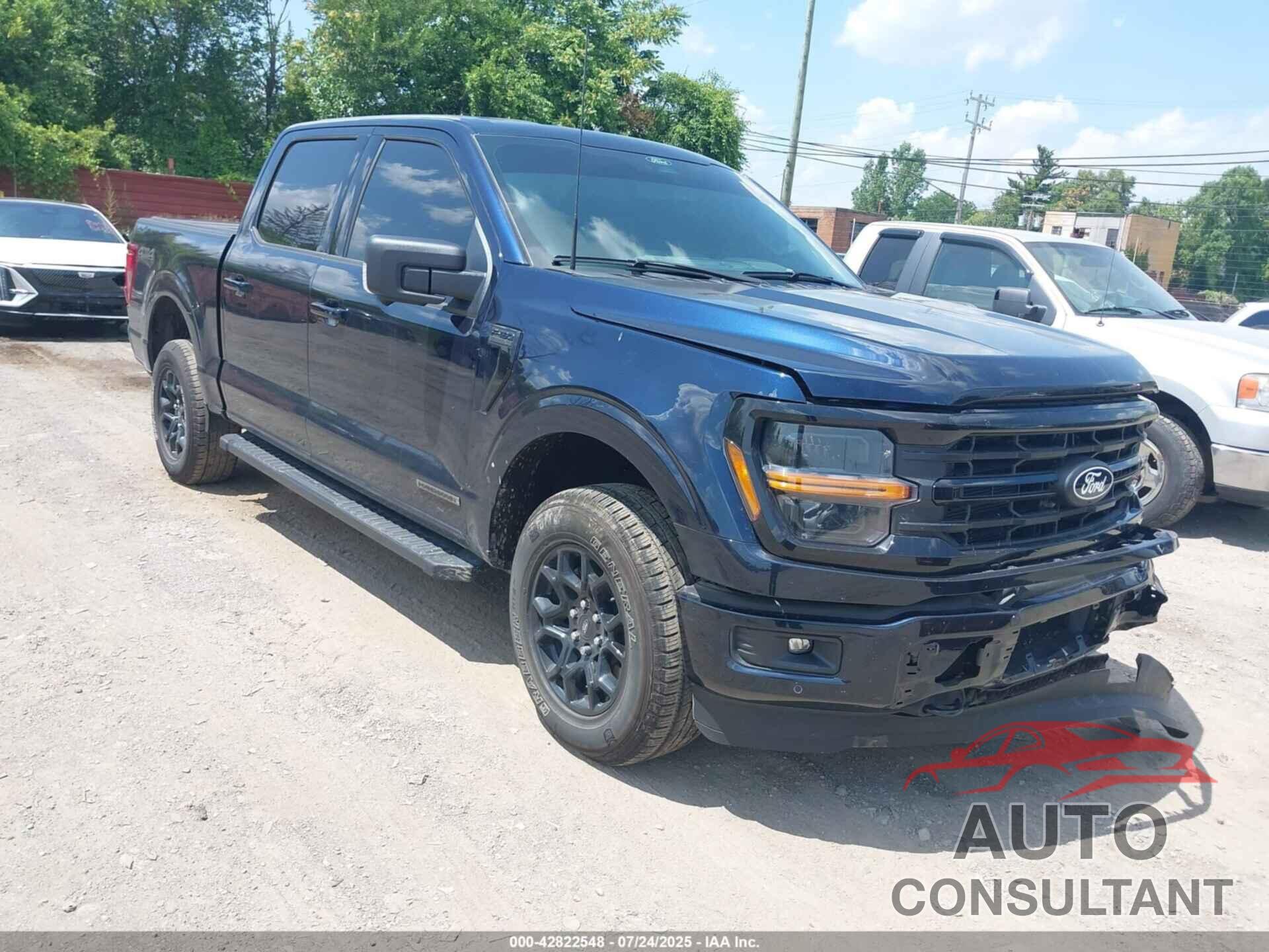 FORD F-150 2024 - 1FTFW3LD7RFA48419