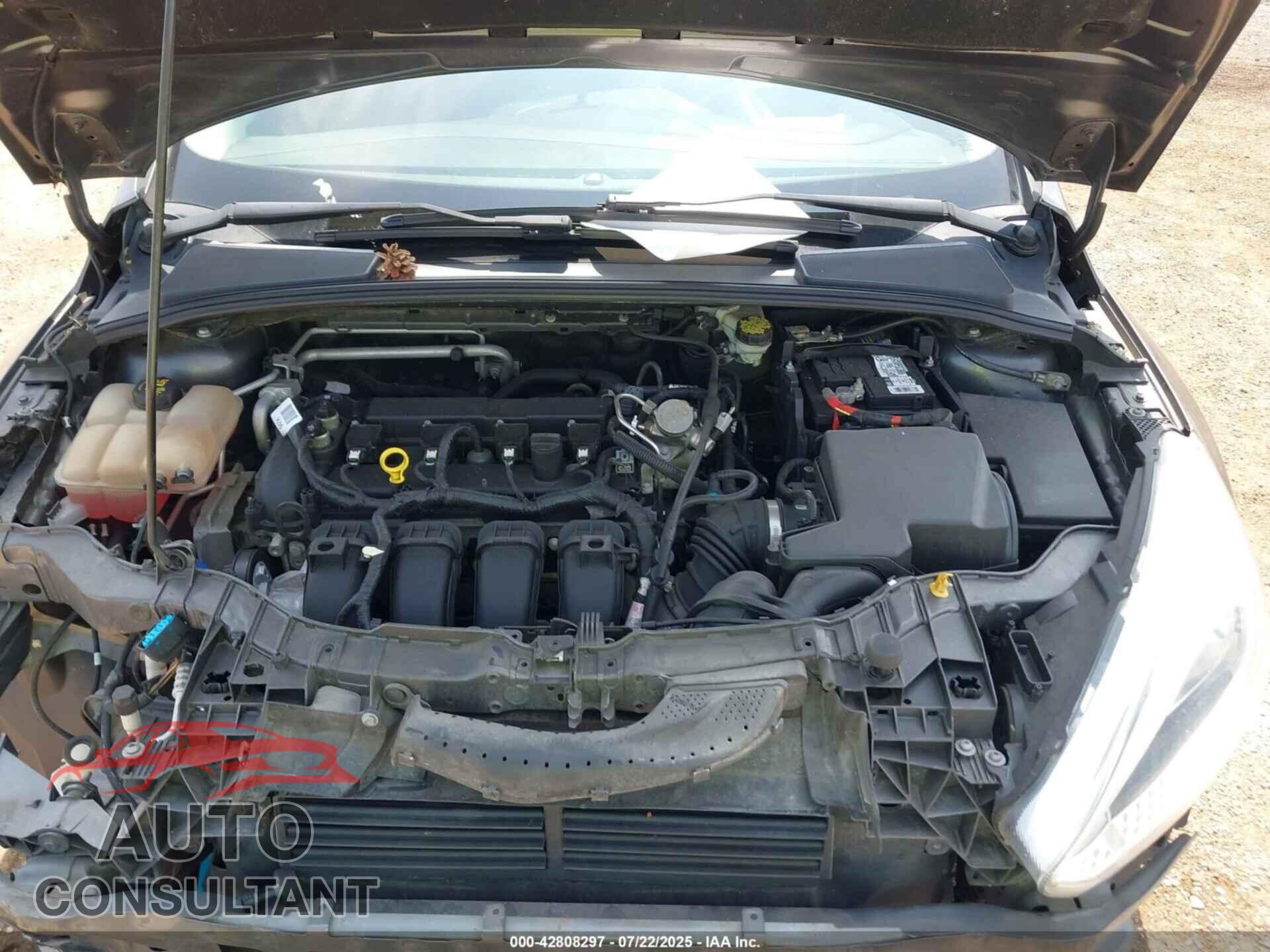 FORD FOCUS 2016 - 1FADP3K20GL257347