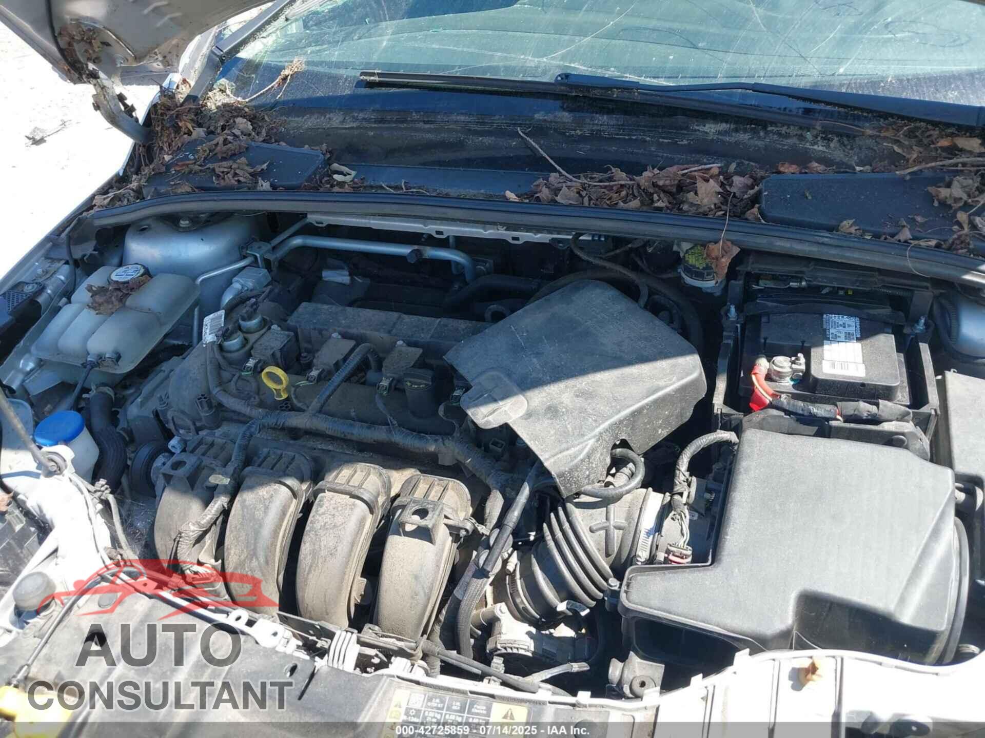 FORD FOCUS 2016 - 1FADP3F26GL296597