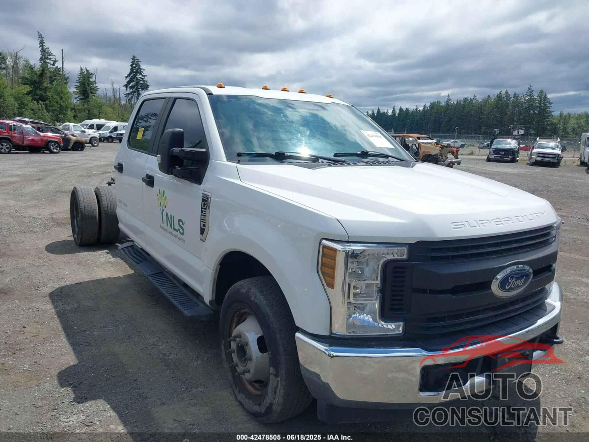 FORD F-350 CHASSIS 2019 - 1FD8W3G61KED04243