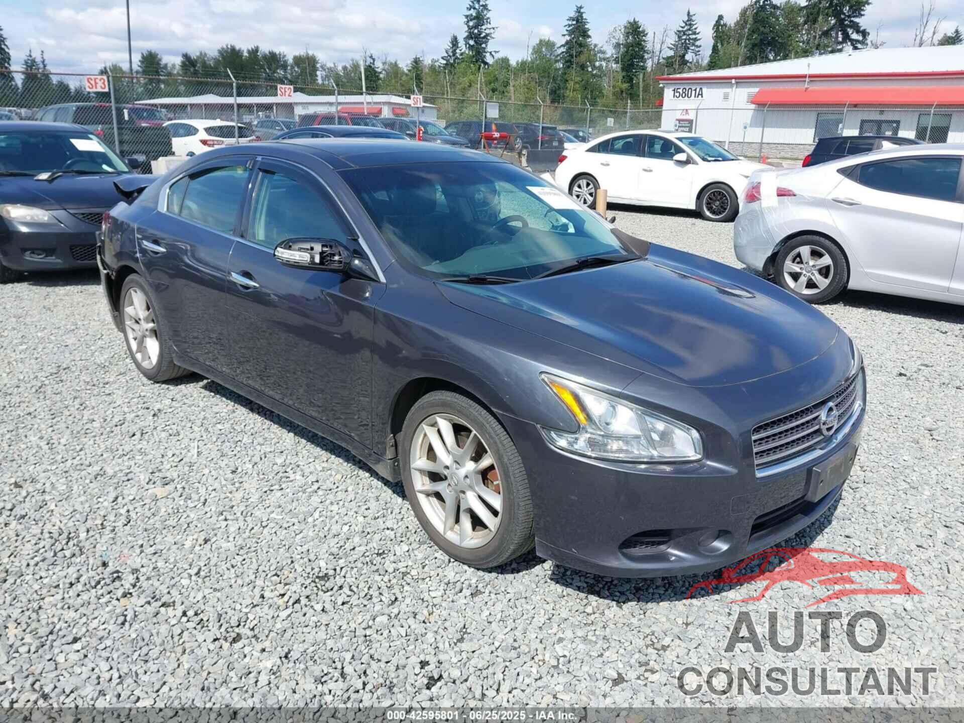NISSAN MAXIMA 2010 - 1N4AA5AP8AC821654