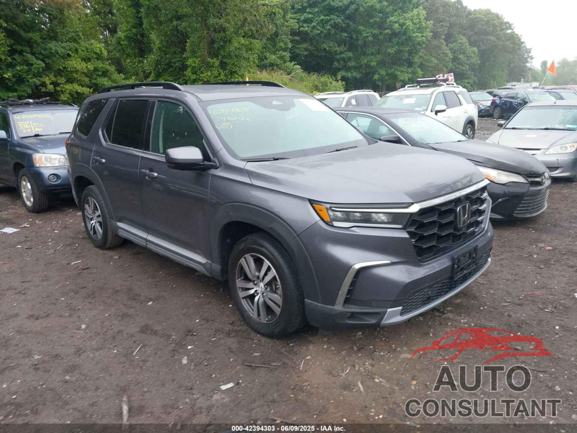 HONDA PILOT 2024 - 5FNYG1H83RB033037