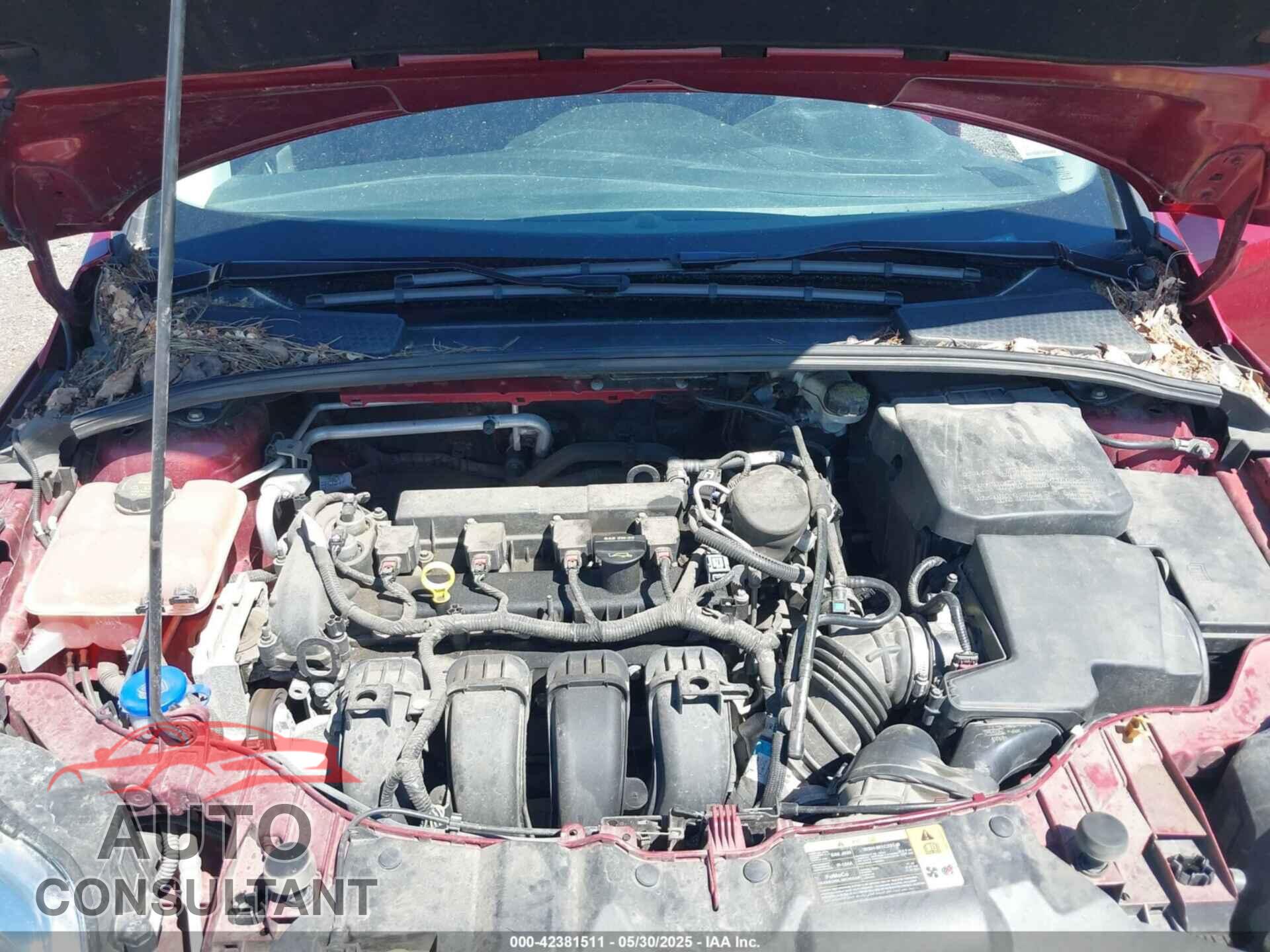 FORD FOCUS 2014 - 1FADP3K23EL264760