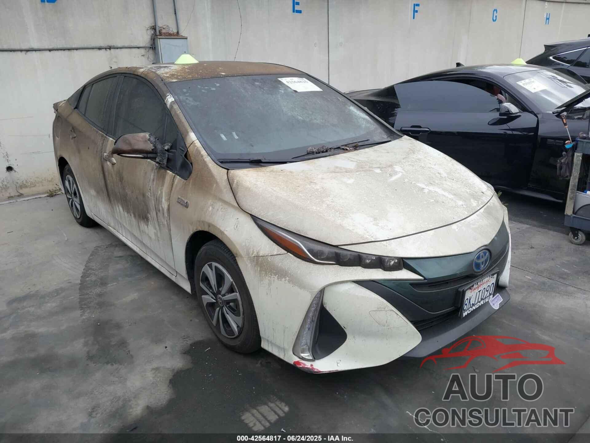 TOYOTA PRIUS PRIME 2019 - JTDKARFP8K3119138