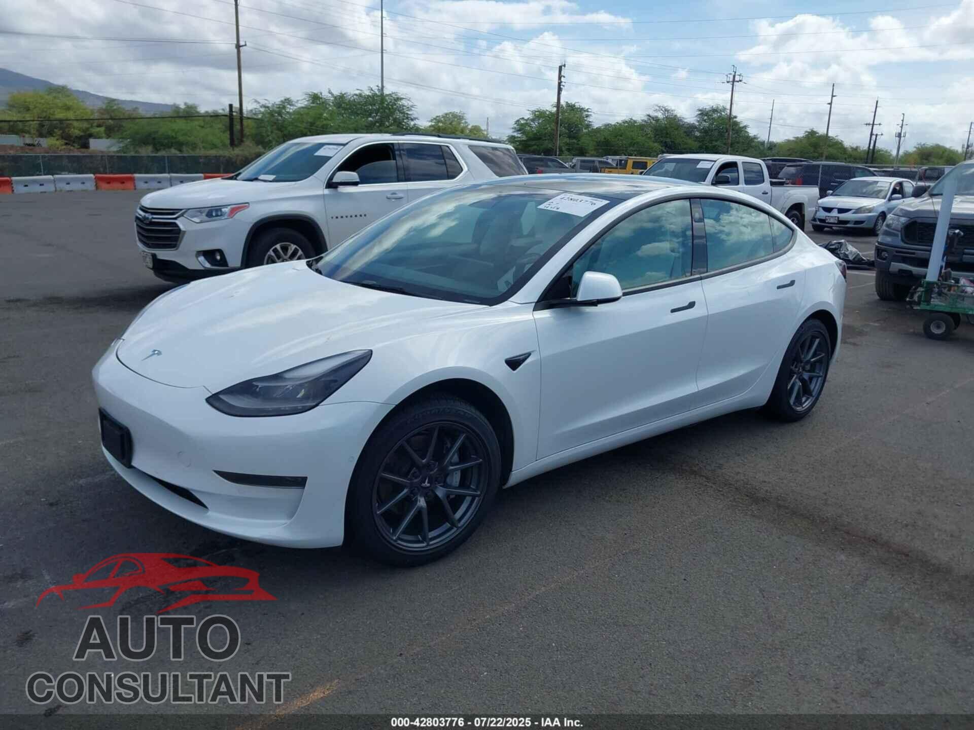 TESLA MODEL 3 2021 - 5YJ3E1EA2MF100789