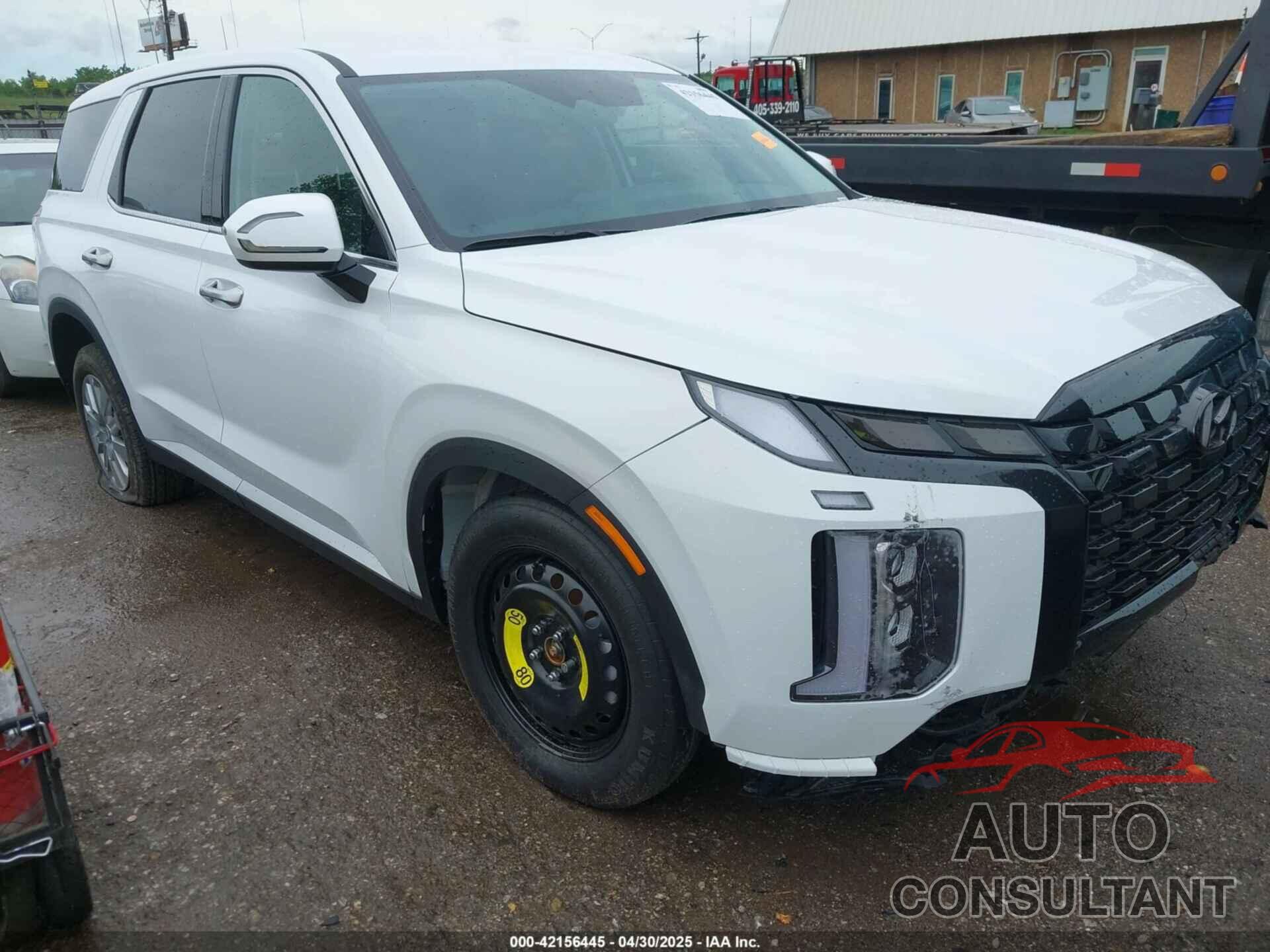 HYUNDAI PALISADE 2025 - KM8R14GE5SU887907