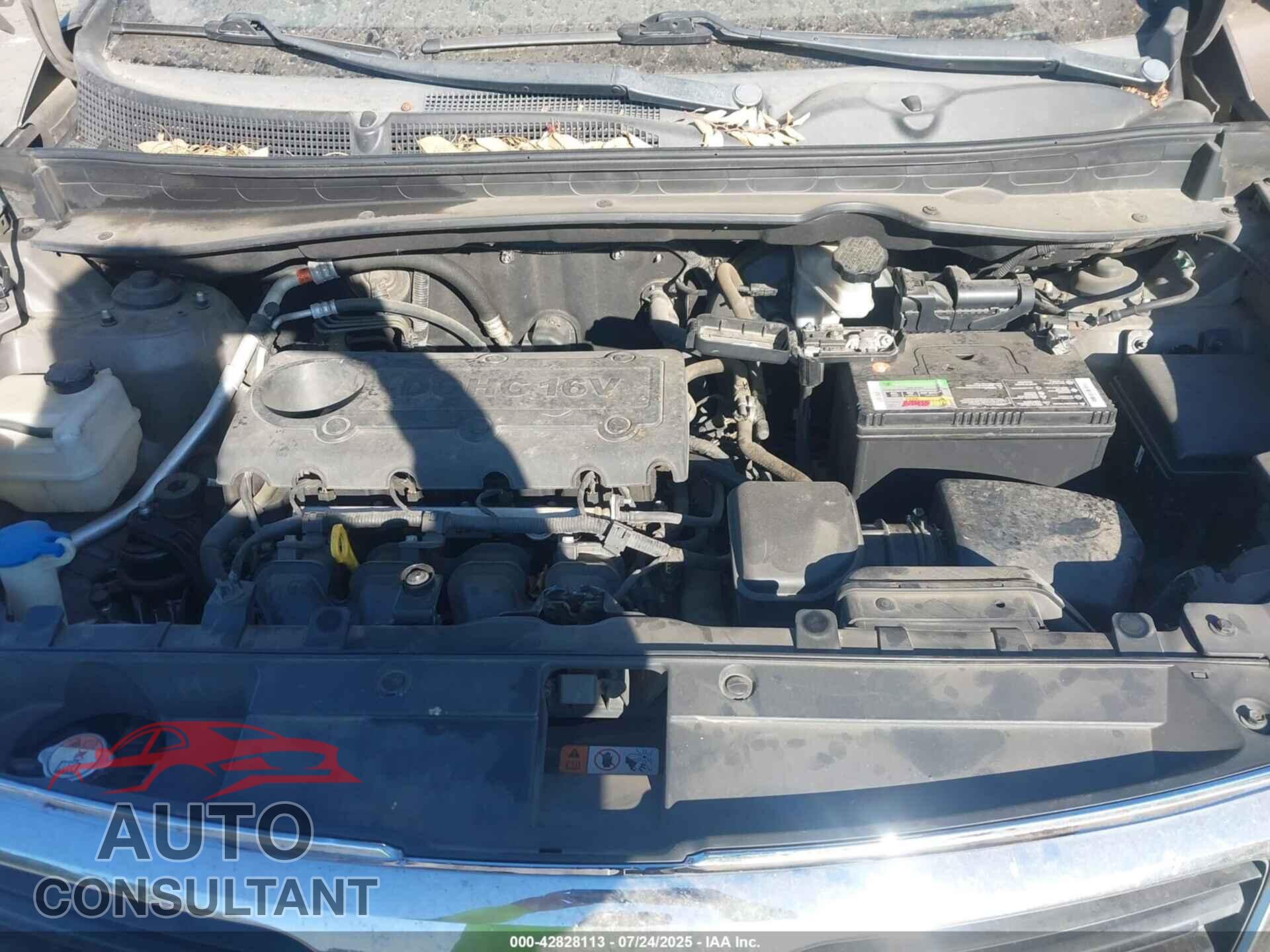 KIA SPORTAGE 2013 - KNDPC3A23D7465943