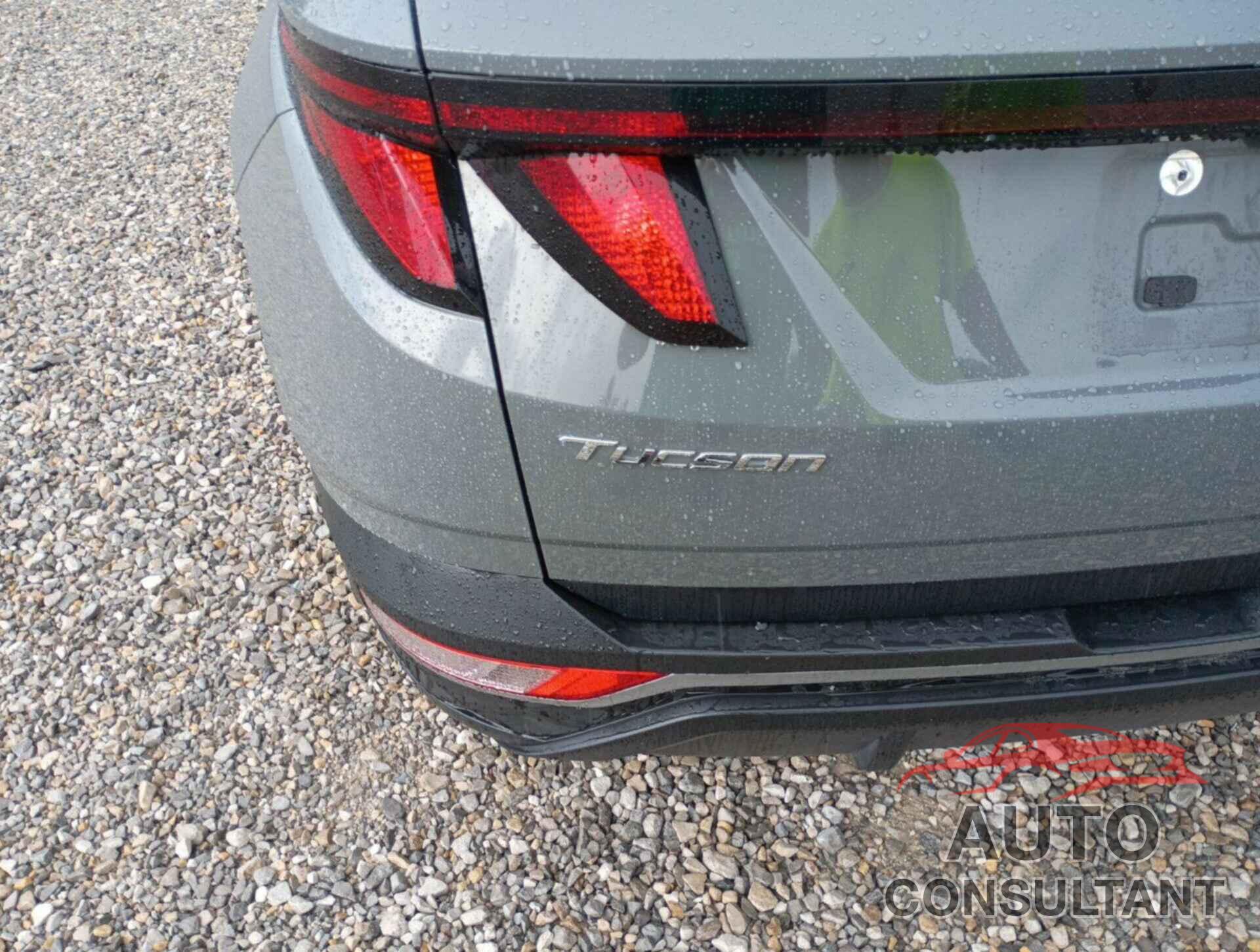 HYUNDAI TUCSON 2024 - 5NMJBCDEXRH389135