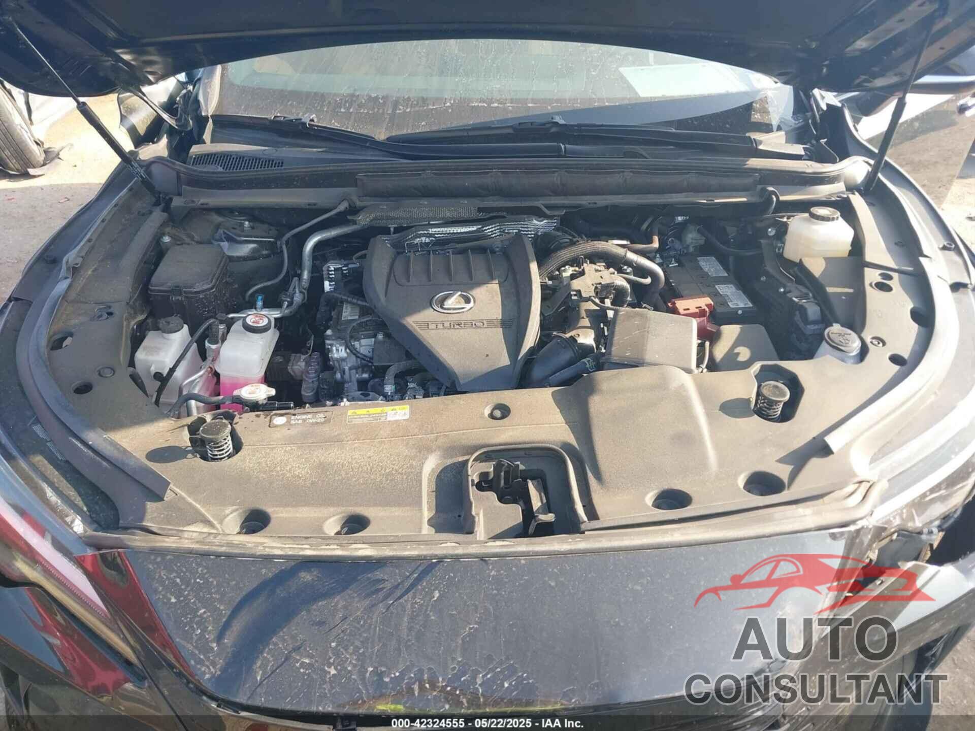 LEXUS RX 350 2024 - 2T2BAMBA3RC039795