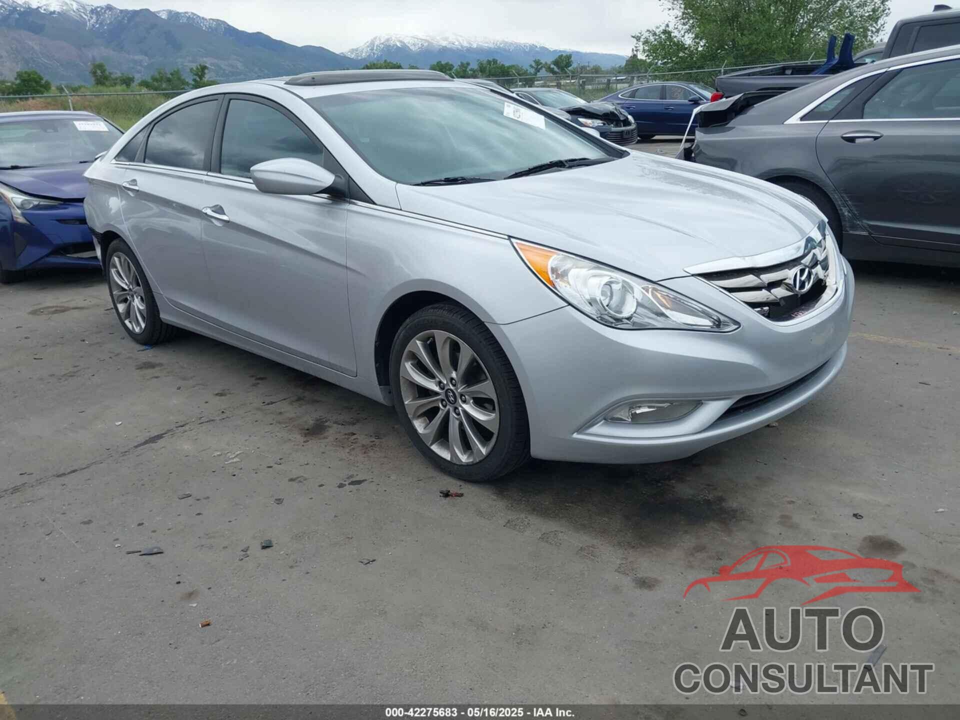HYUNDAI SONATA 2013 - 5NPEC4AC7DH795487