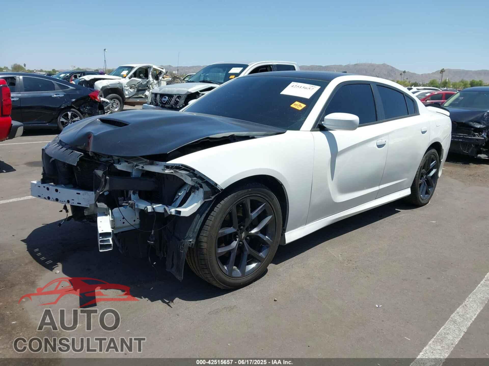 DODGE CHARGER 2019 - 2C3CDXCT1KH575727