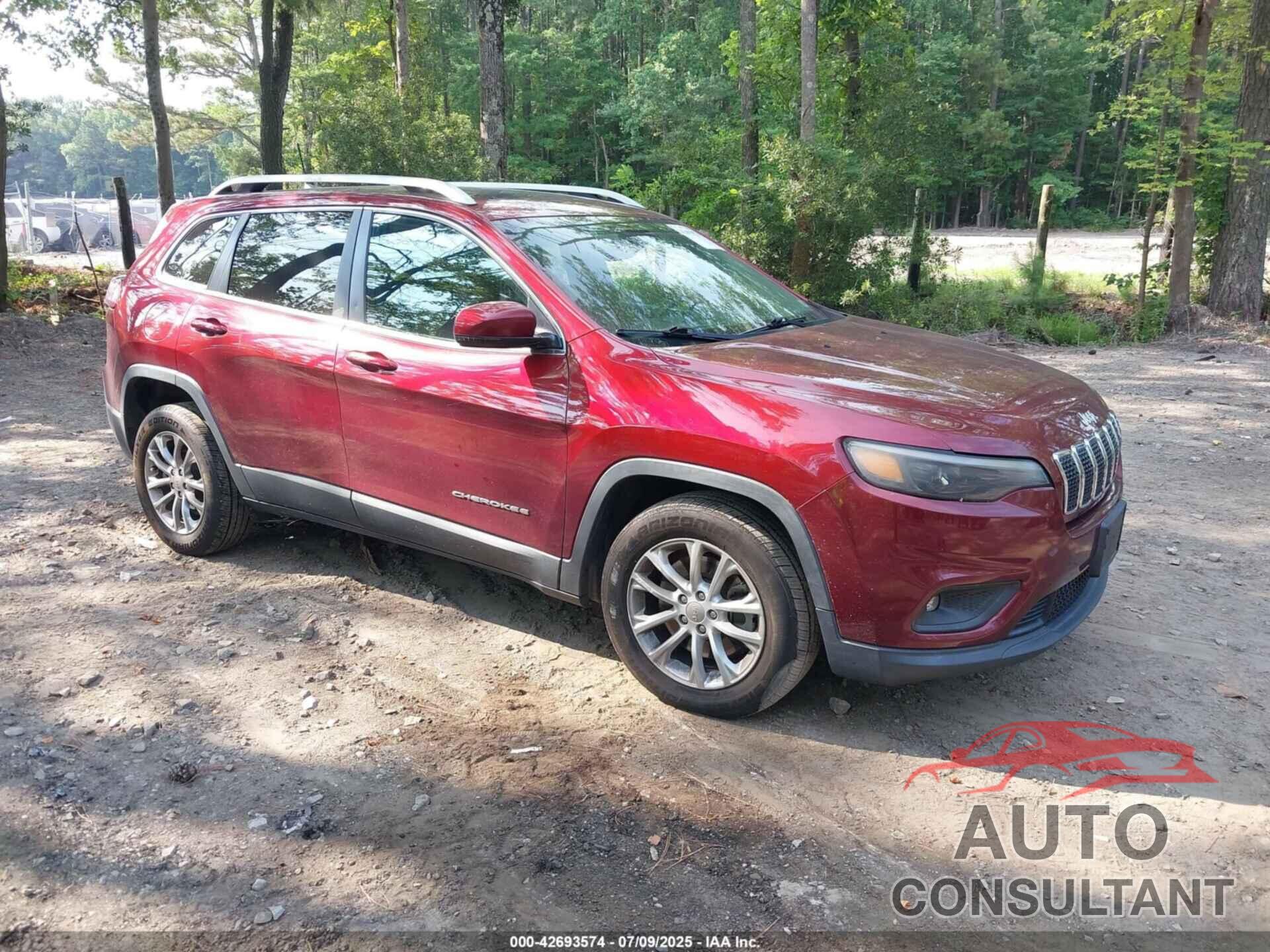 JEEP CHEROKEE 2019 - 1C4PJLLN8KD289998