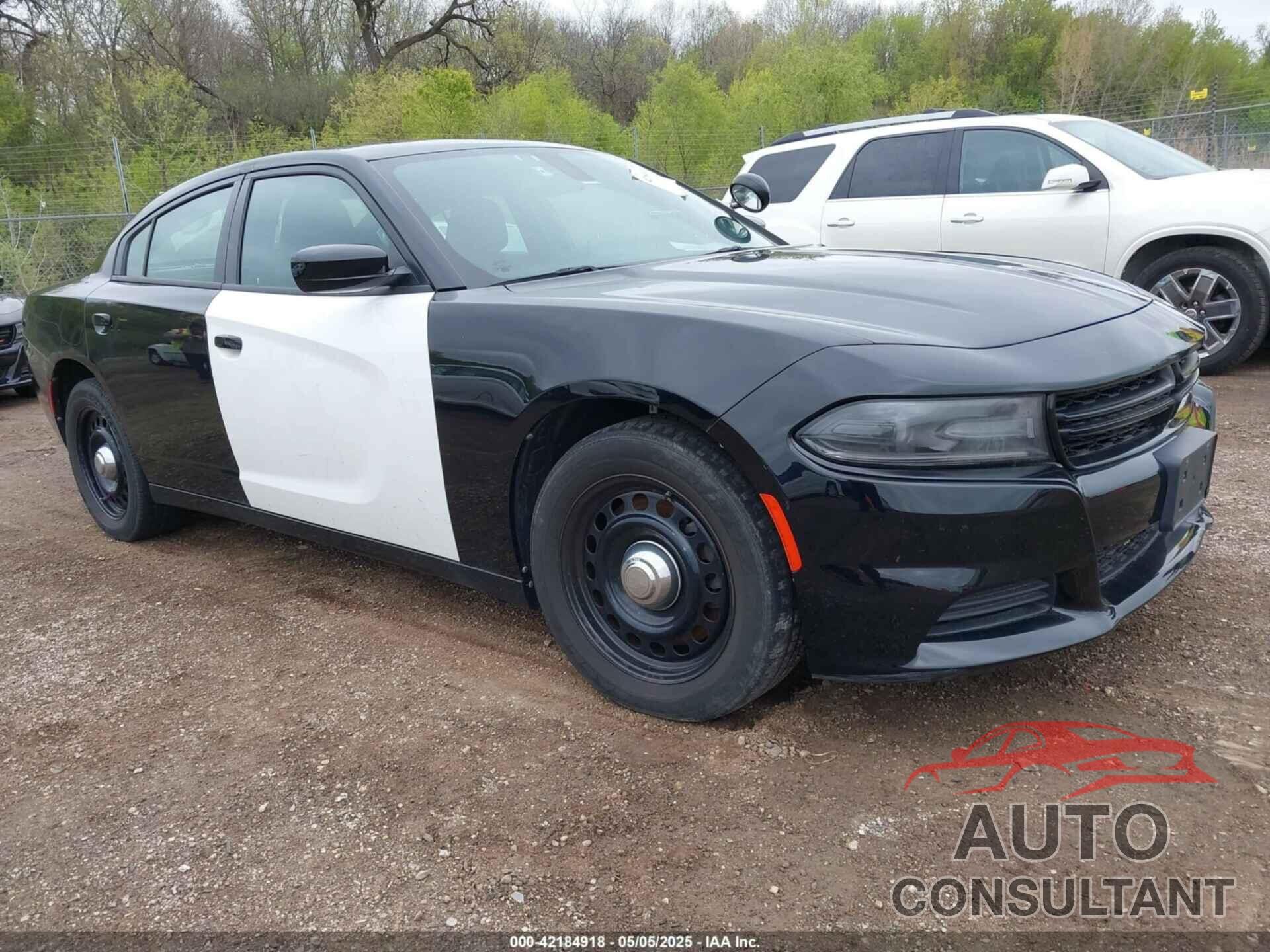 DODGE CHARGER 2019 - 2C3CDXKT5KH622663