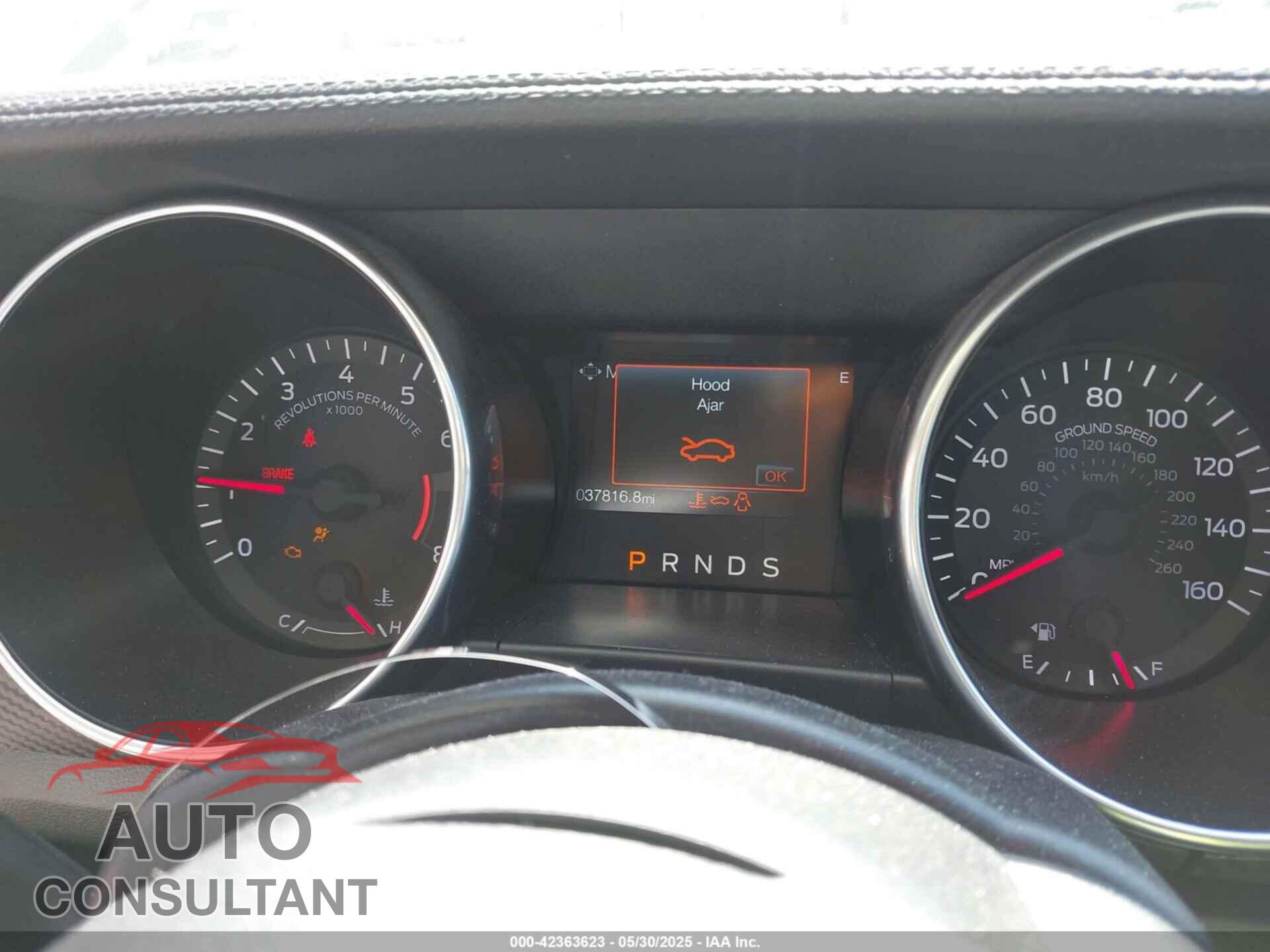 FORD MUSTANG 2019 - 1FA6P8TH3K5123485