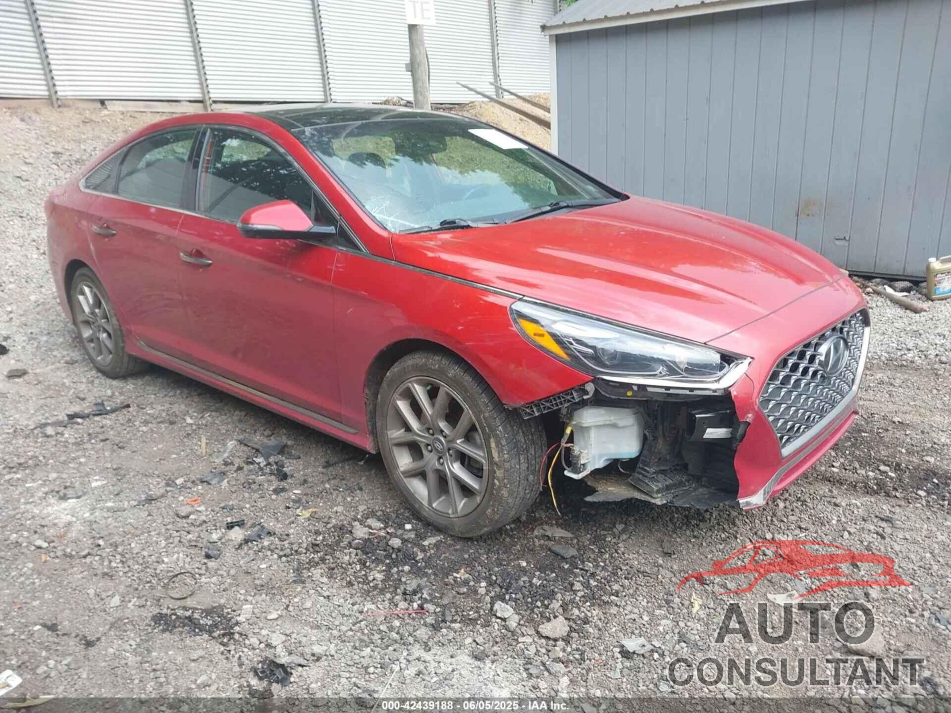 HYUNDAI SONATA 2019 - 5NPE34AB8KH753219