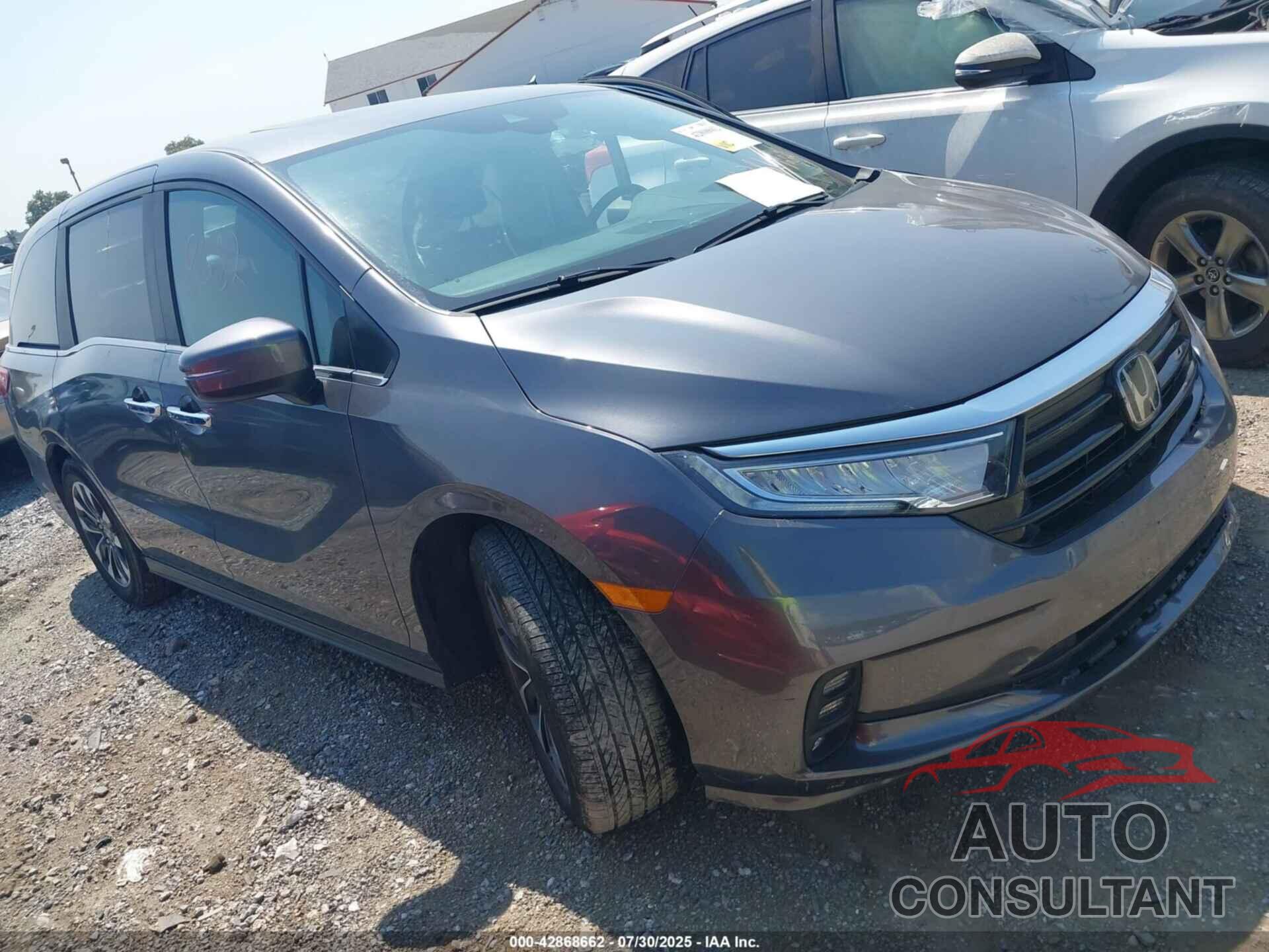 HONDA ODYSSEY 2024 - 5FNRL6H68RB039153
