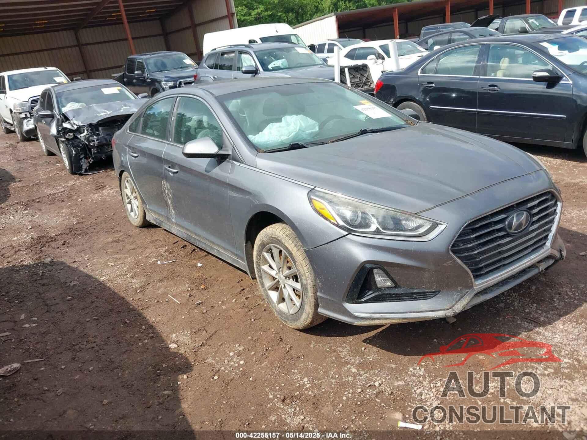 HYUNDAI SONATA 2018 - 5NPE24AF0JH641955