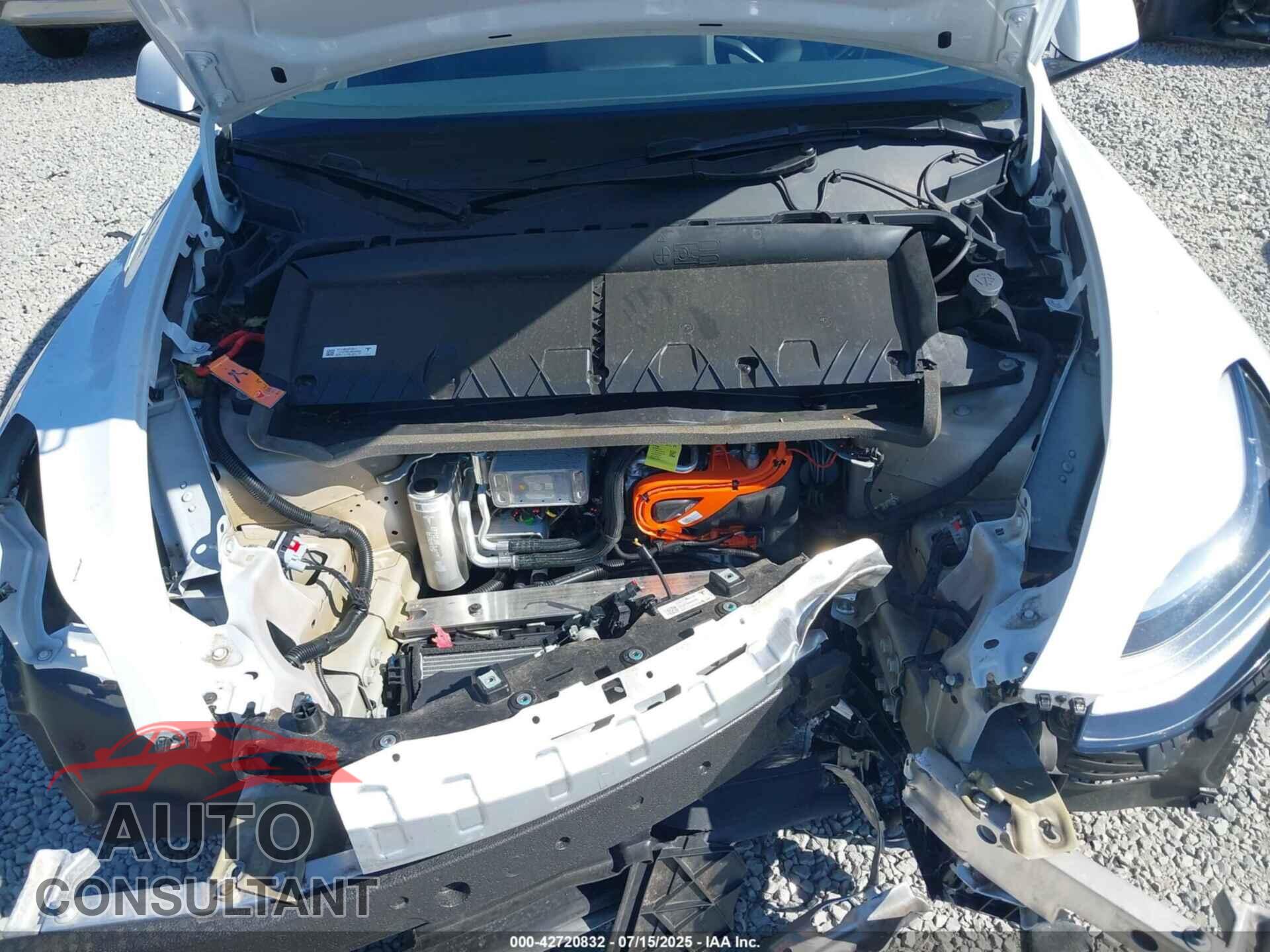 TESLA MODEL Y 2024 - 7SAYGDEEXRF164237